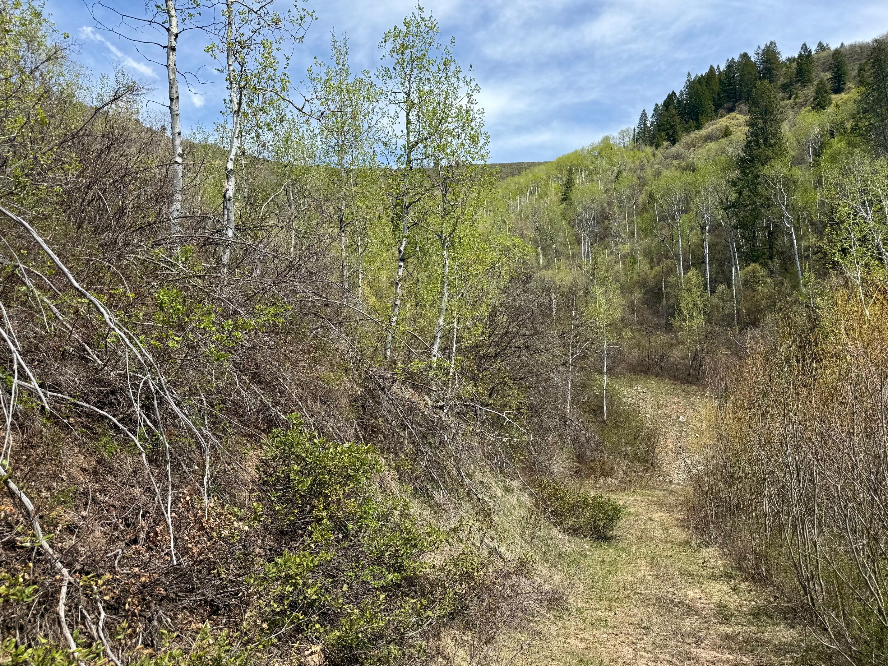 Property Overlooking the Palisades Reservoir - 物件實景