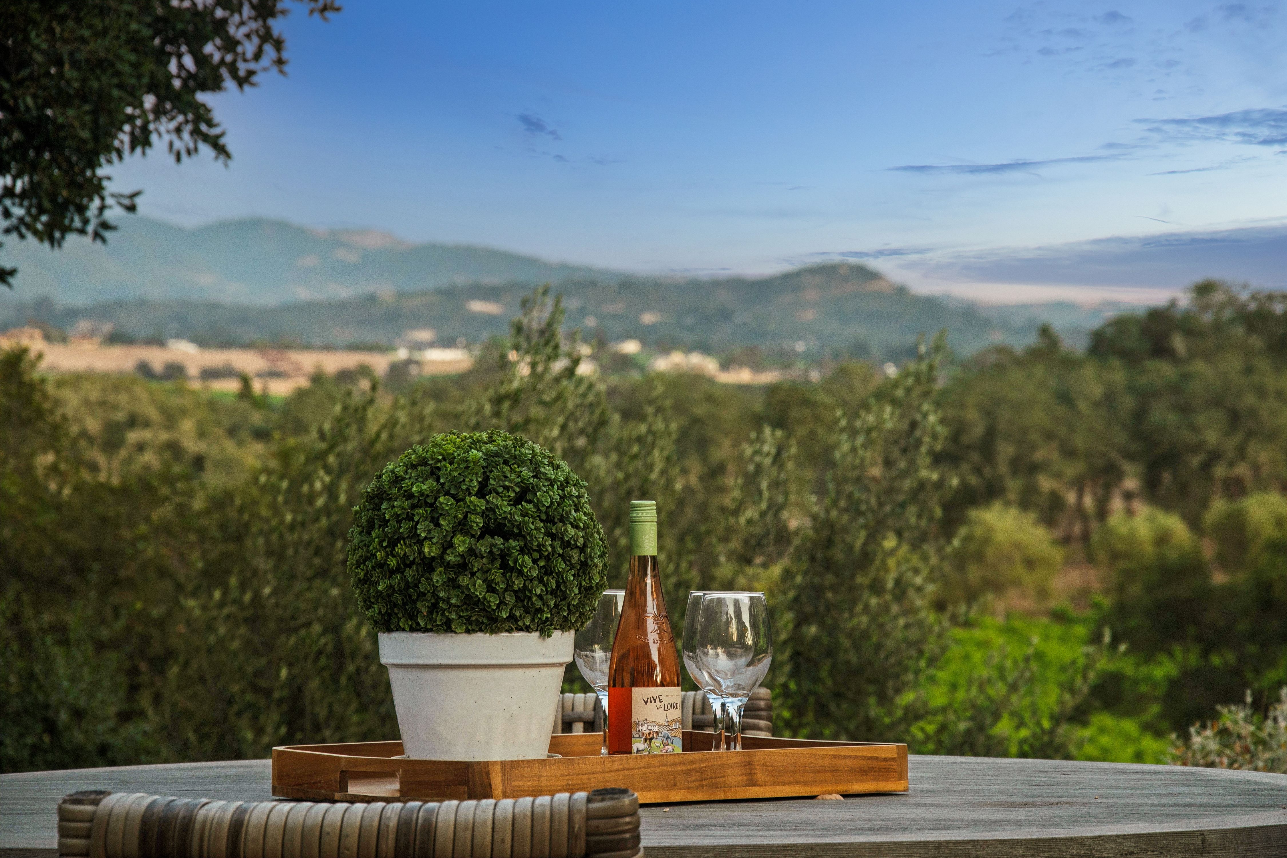  Refined Wine Country Estate - 物件實景