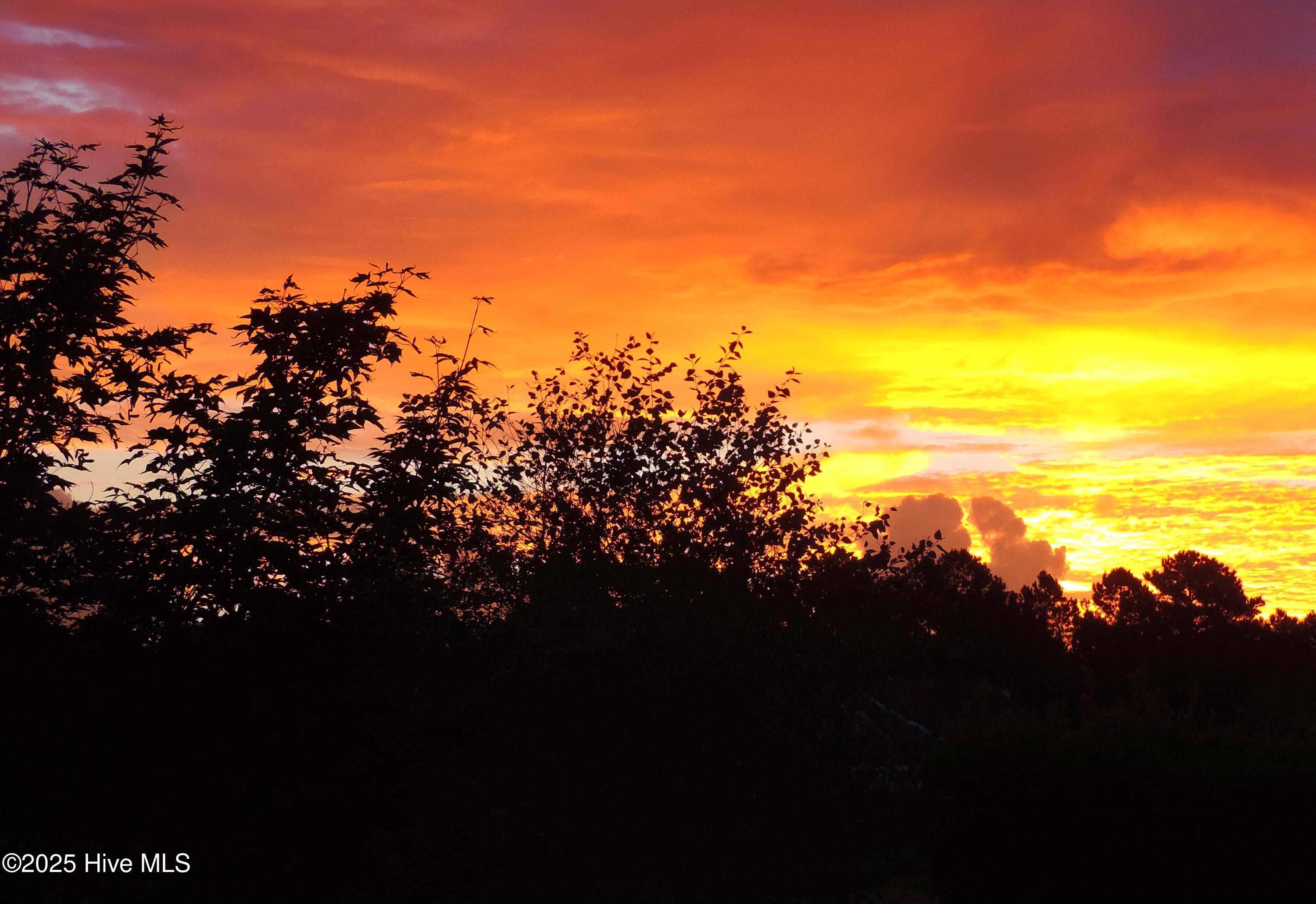 Leland, North Carolina, 28451, United States, 3 Bedrooms Bedrooms, ,3 BathroomsBathrooms,Residential,For Sale,1962927