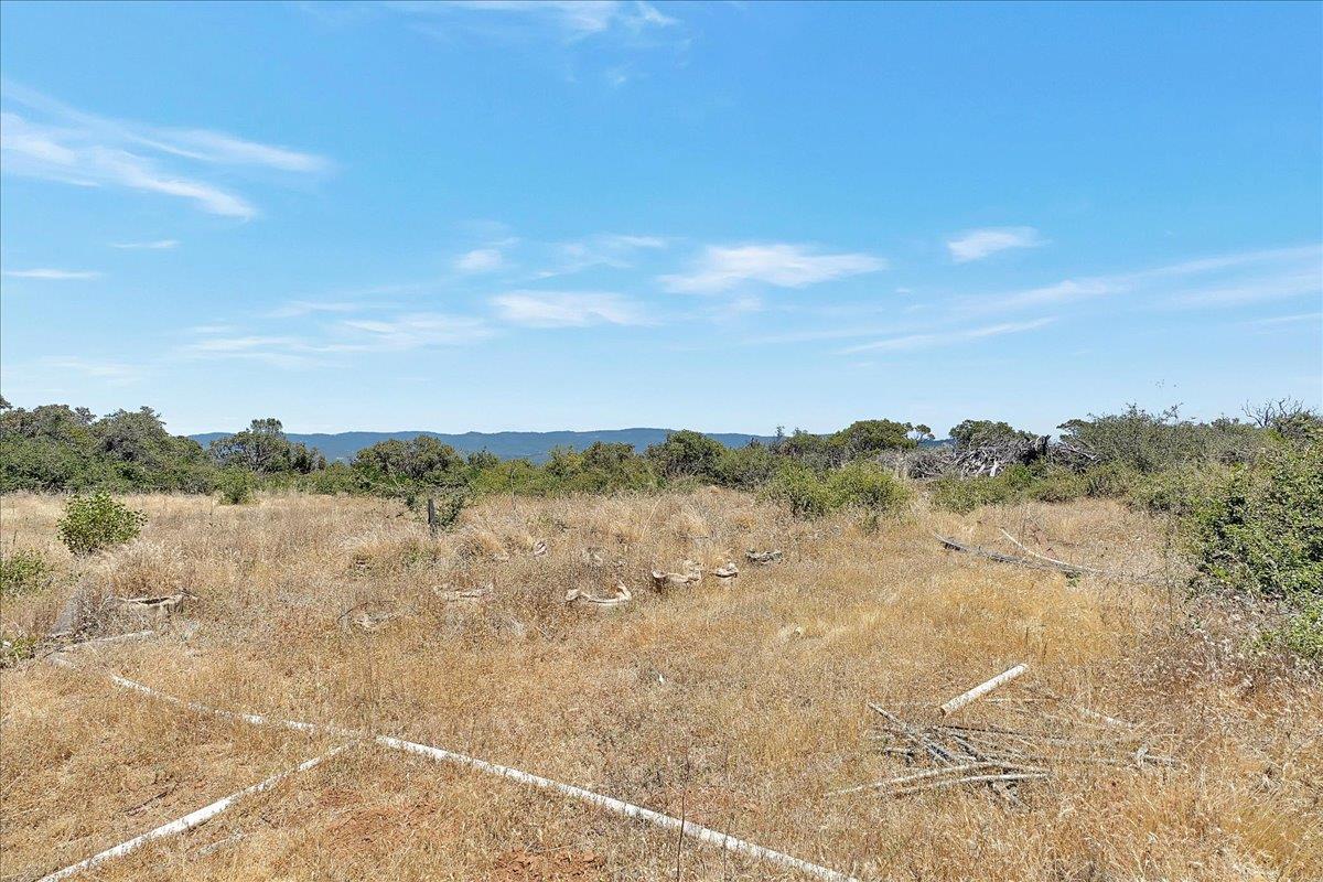 Oregon House, California, 95962, United States, ,Land,For Sale,1975767