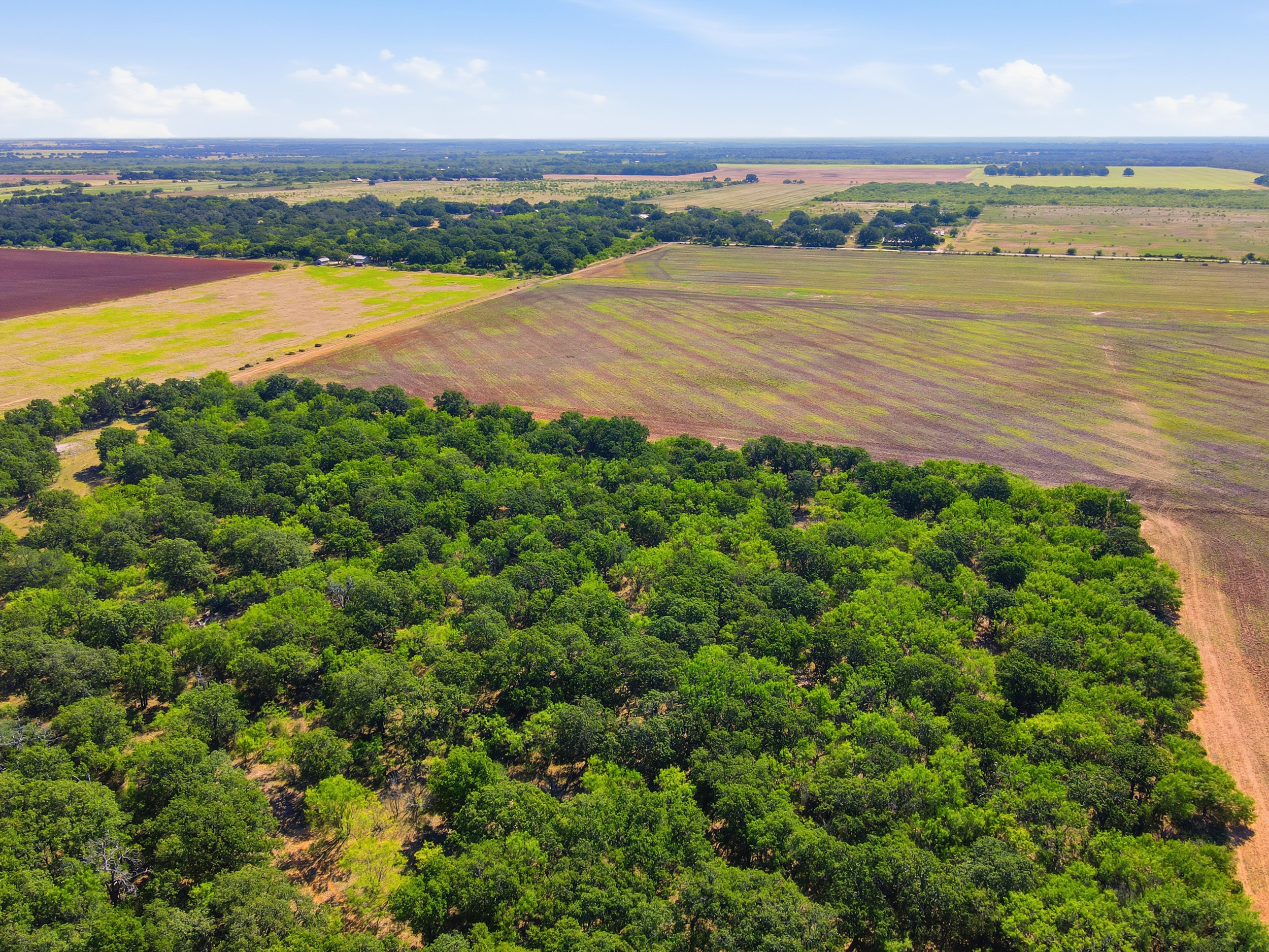  125 Acres of Texas Land for Recreation and Retreat - 物件實景