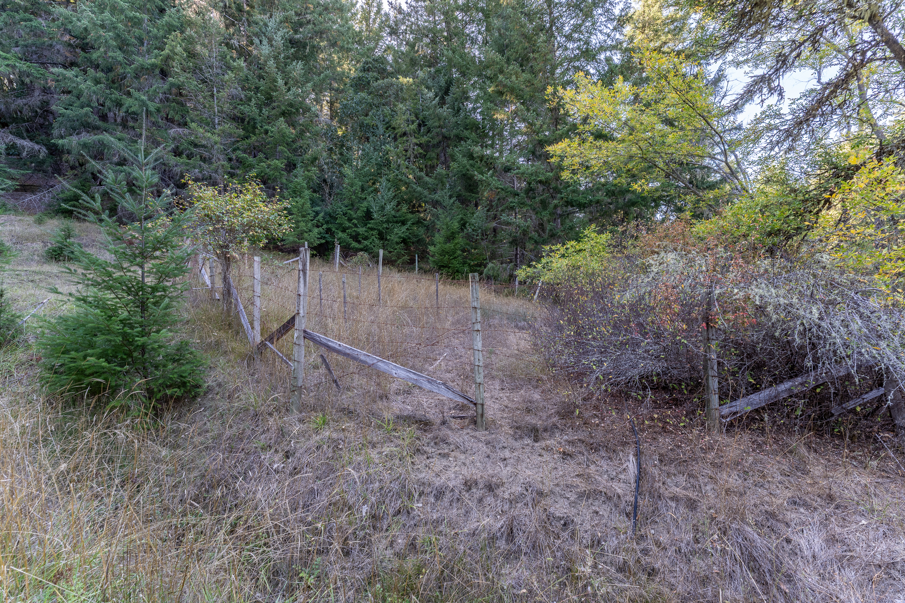 Willits, California, 95490, United States, 2 Bedrooms Bedrooms, ,2 BathroomsBathrooms,Residential,For Sale,1959114