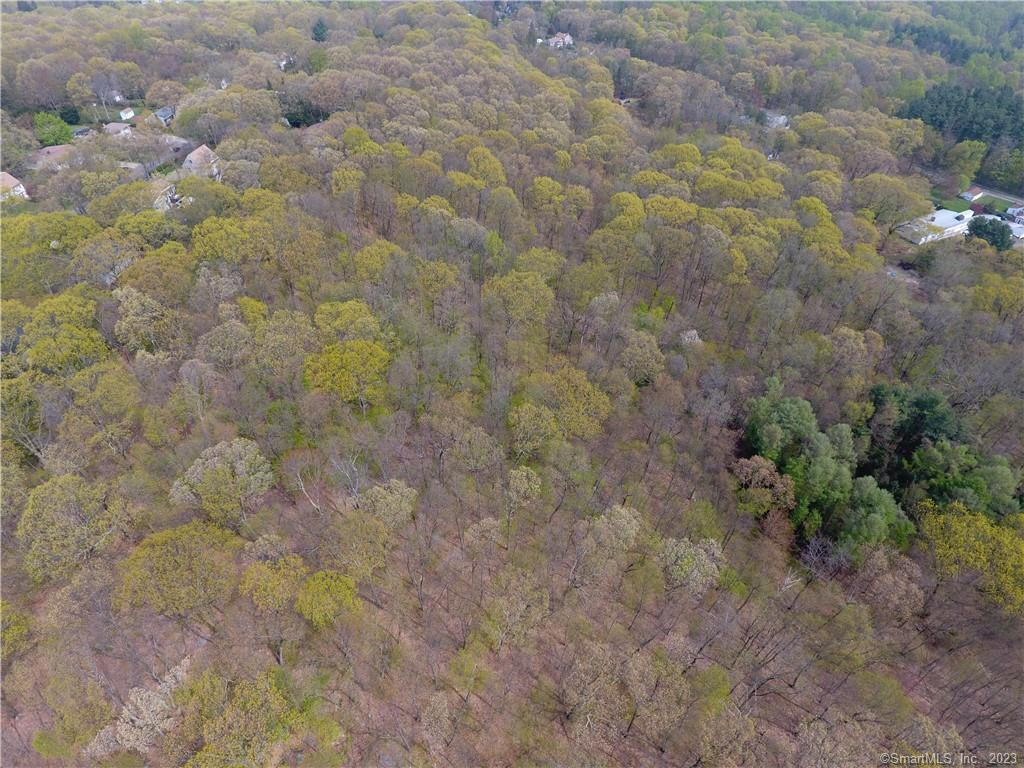 Prospect, Connecticut, 06712, United States, ,Land,For Sale,1752585