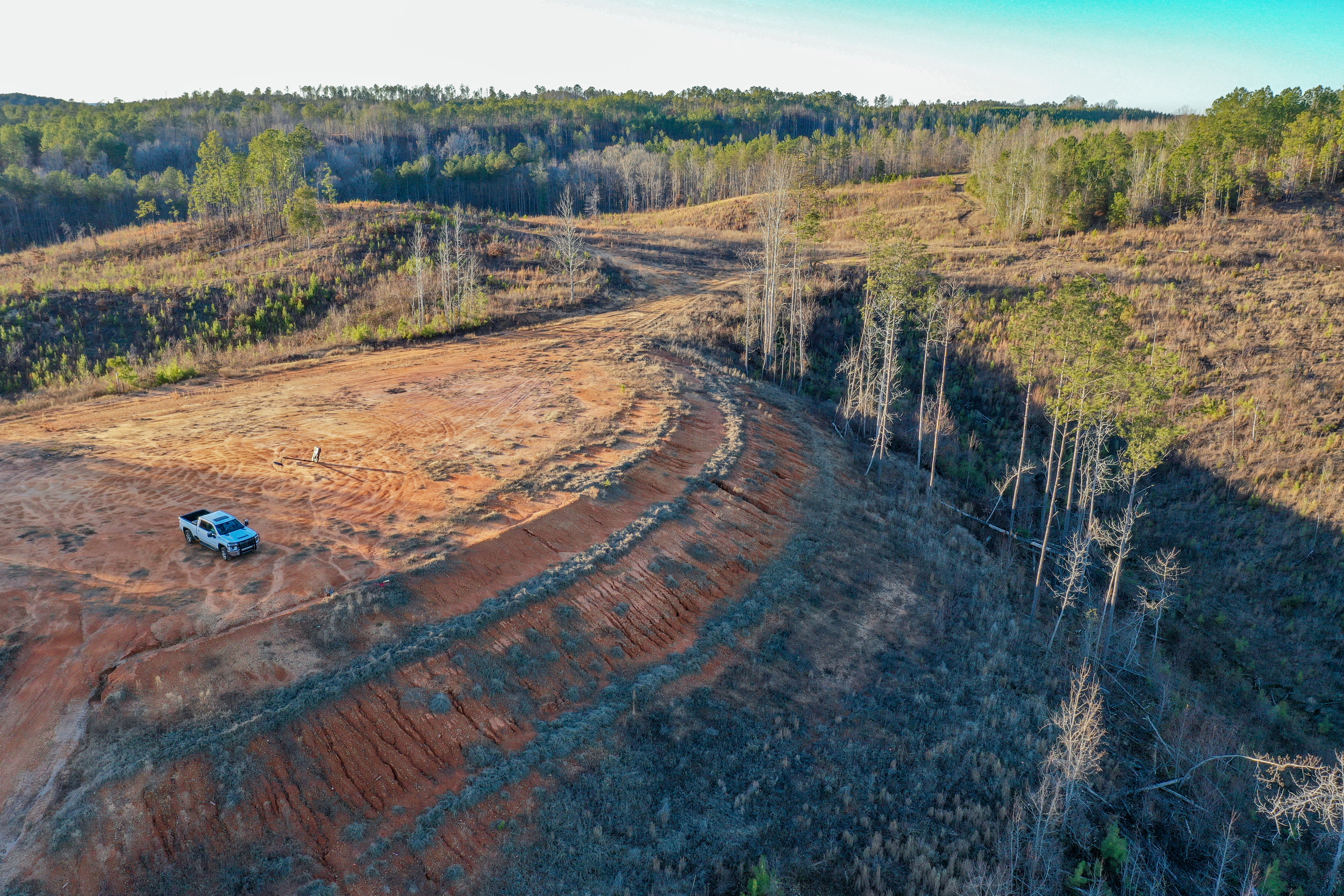Centreville, Alabama, 35042, United States, ,Land,For Sale,2010430