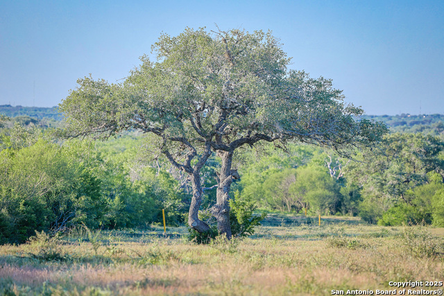 Beeville, Texas, 78102, United States, ,Land,For Sale,1942121