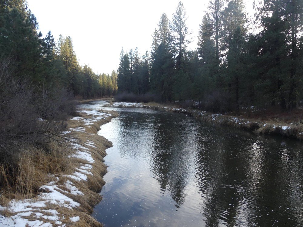 New Meadows, Idaho, 83654, United States, ,Land,For Sale,2005639