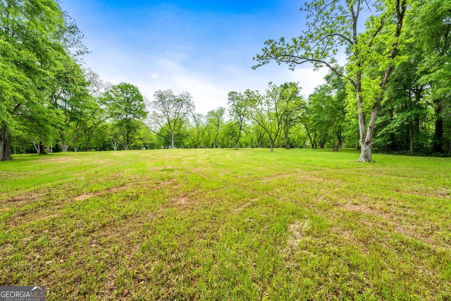 Milner, Georgia, 30257, United States, ,Land,For Sale,1859026