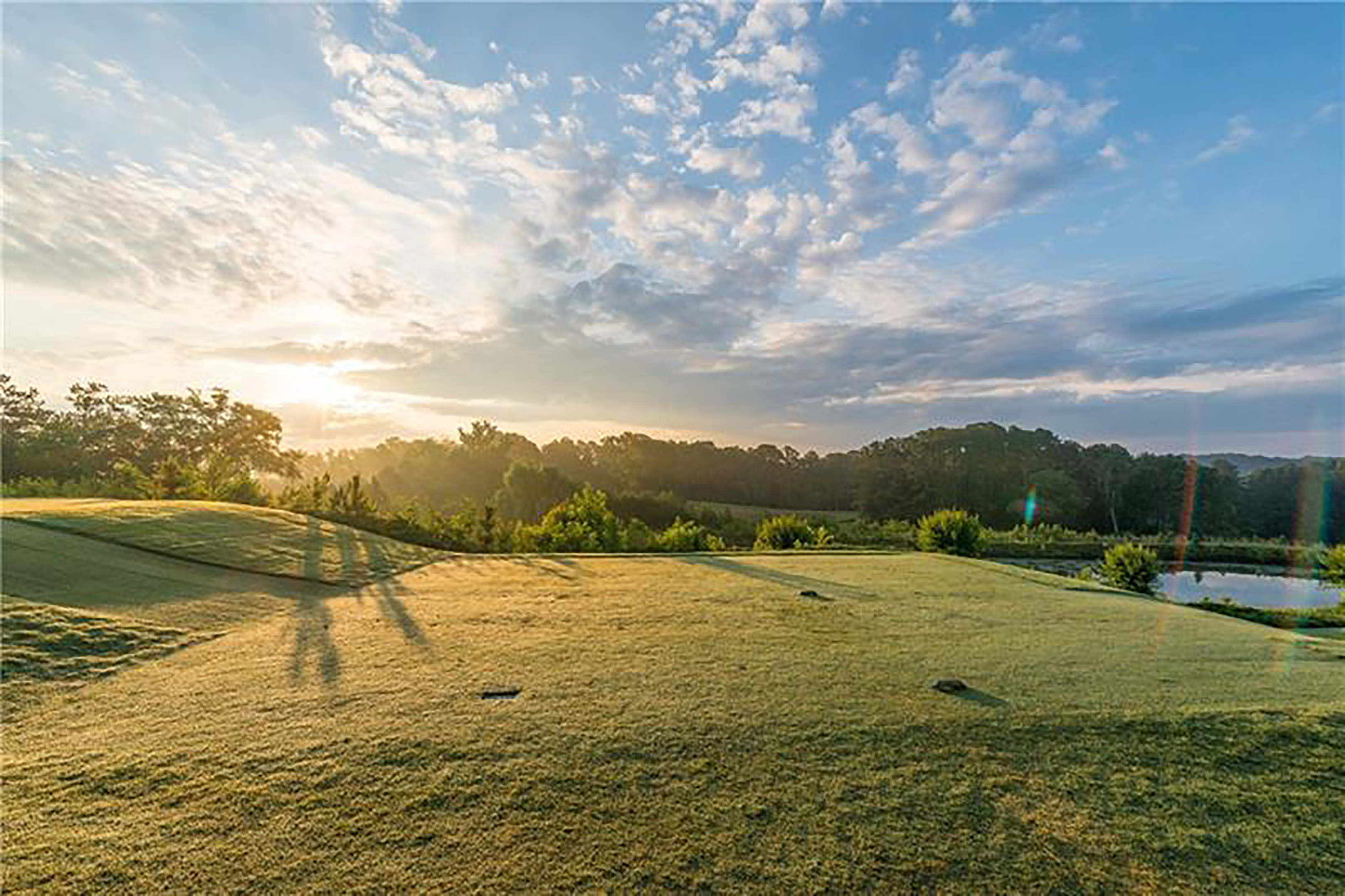  Extraordinary Estate in Prestigious Gated The Manor Golf and Country Club - 物件實景