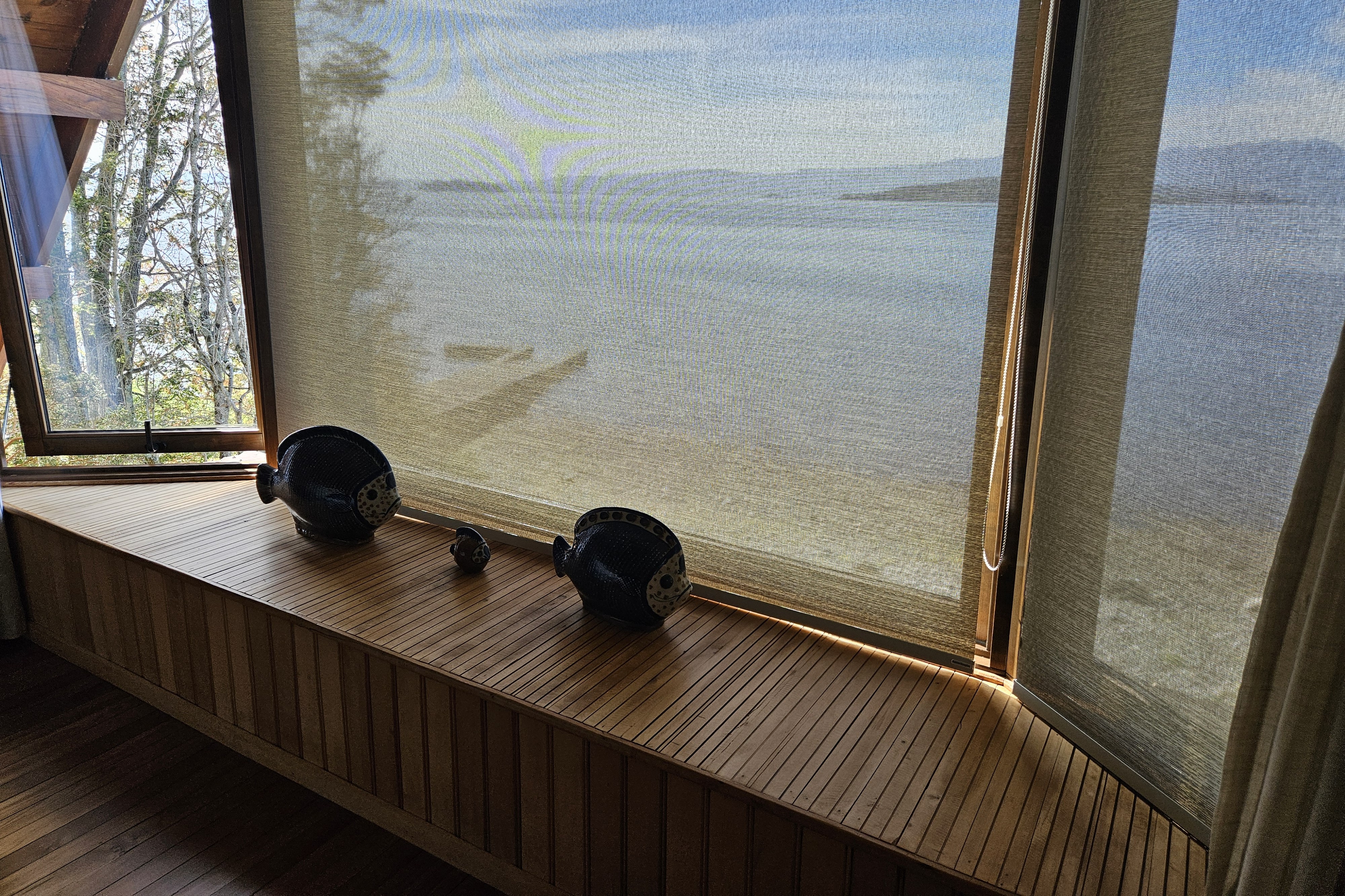  House on the beachfront facing Lake Ranco - 物件實景