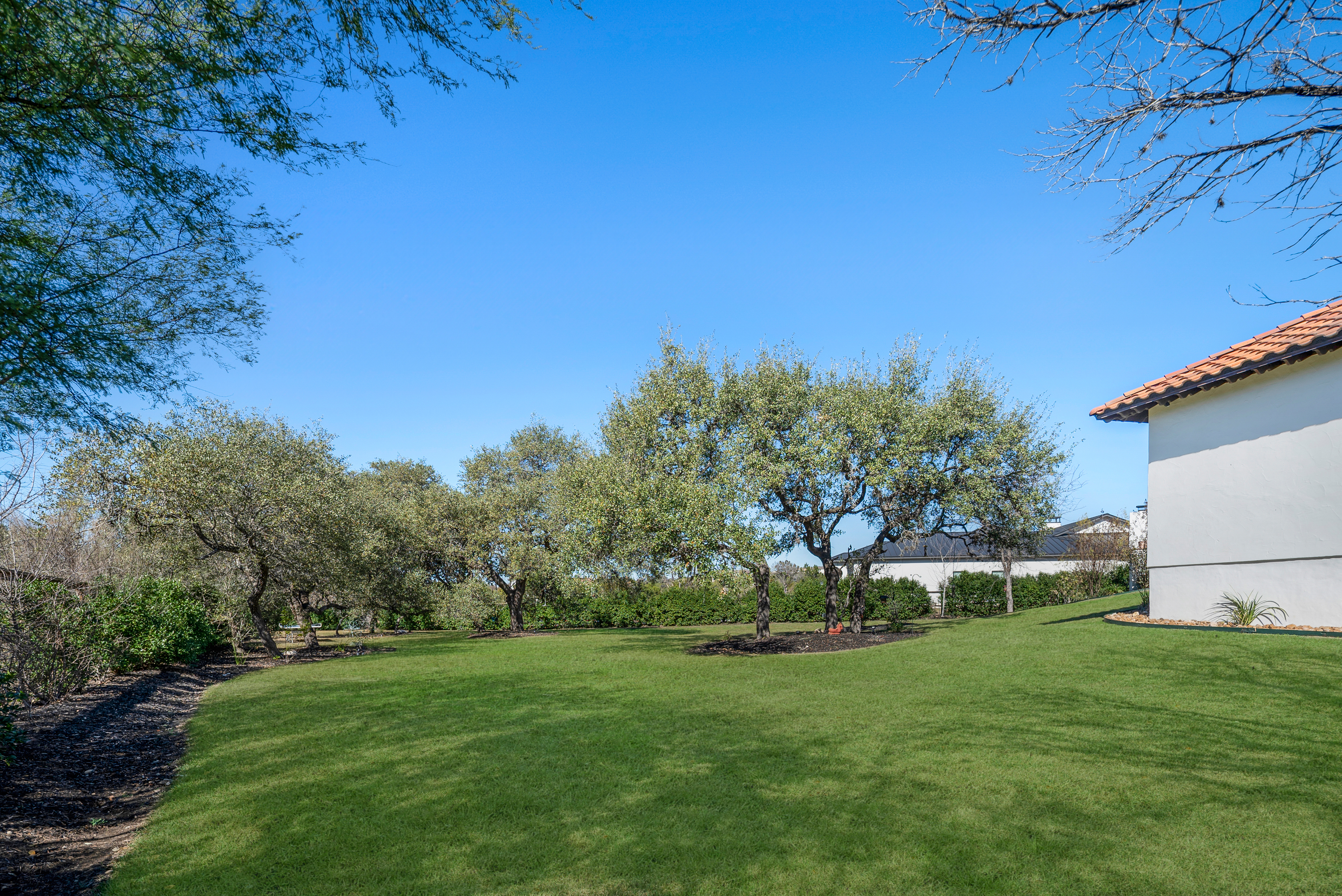  Luxury Greenbelt Estate in The Huntington at Shavano Park - 物件實景