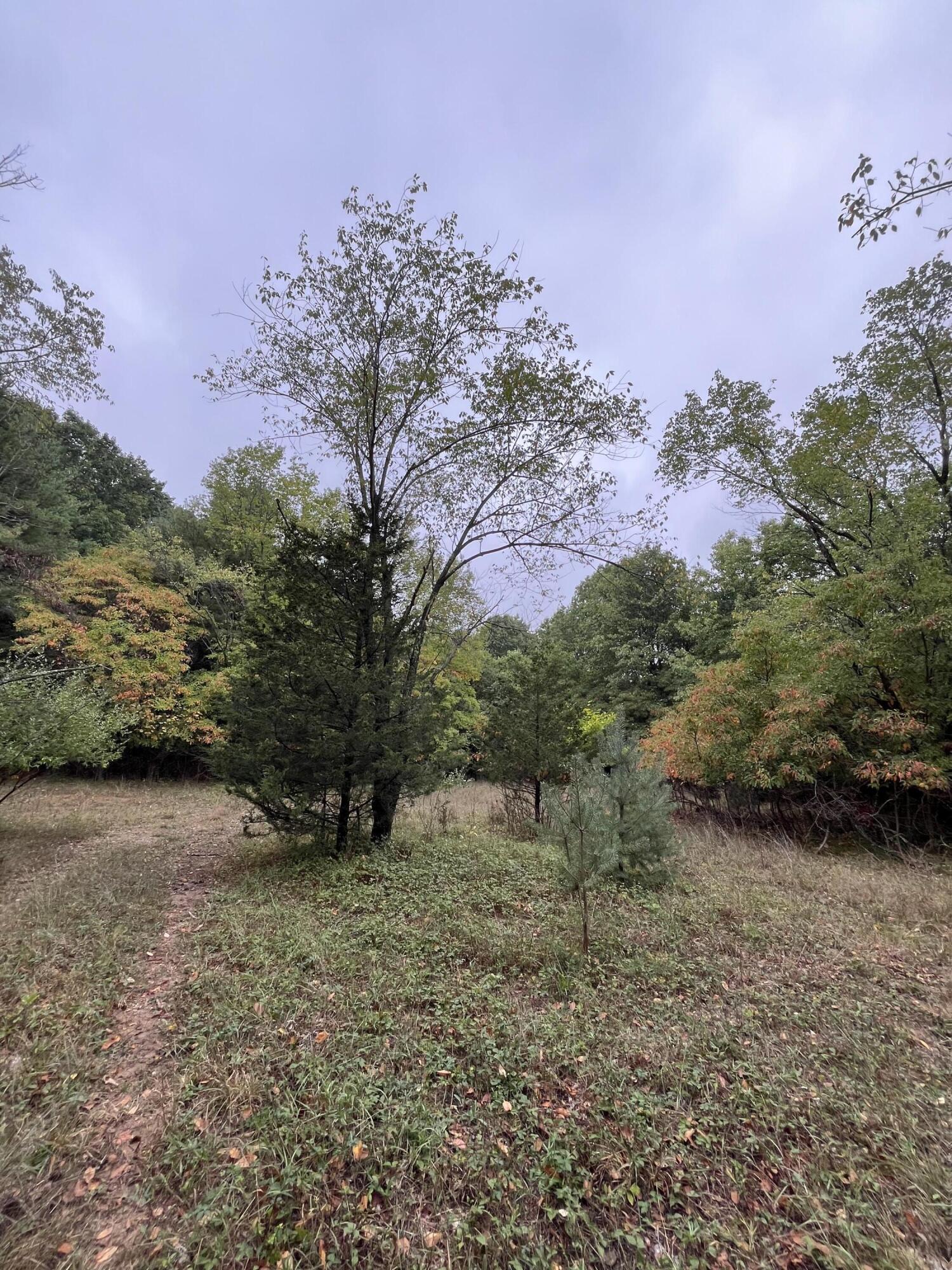 Holland, Michigan, 49423, United States, ,Land,For Sale,1984498