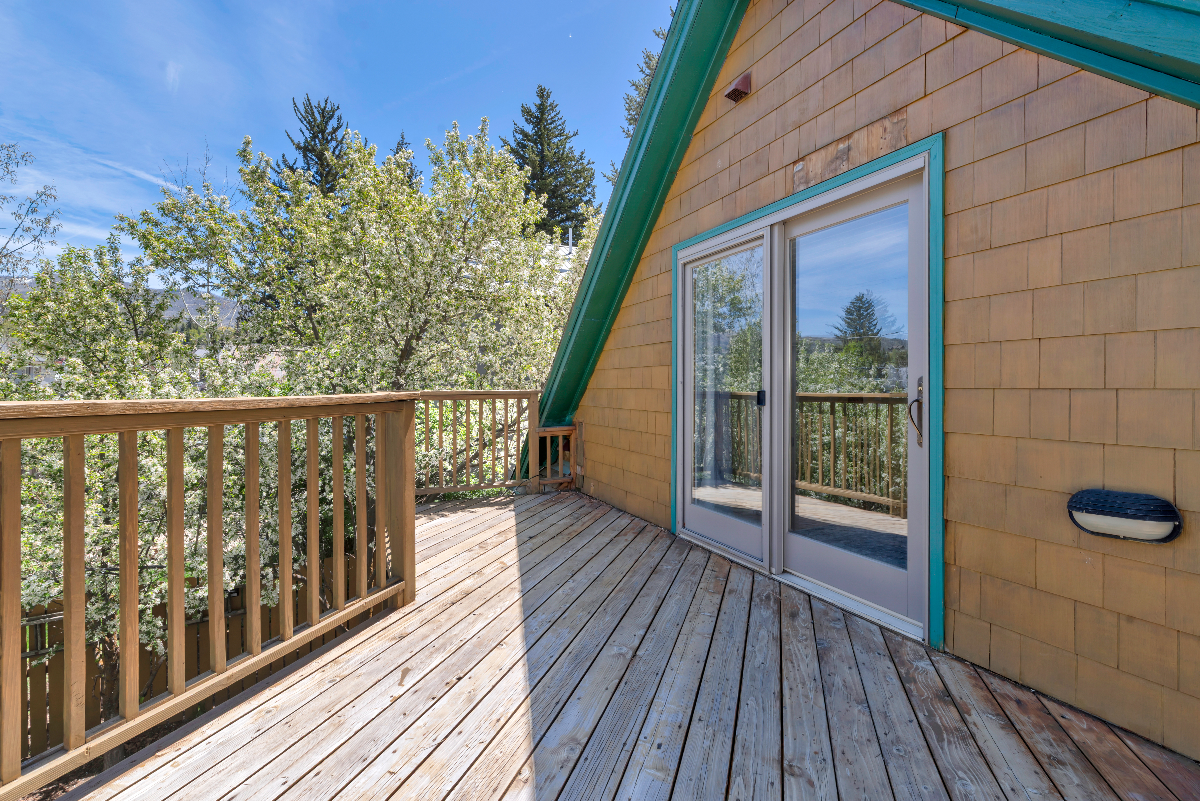  234 Hill Street, Steamboat Springs, CO 80487 - 物件實景