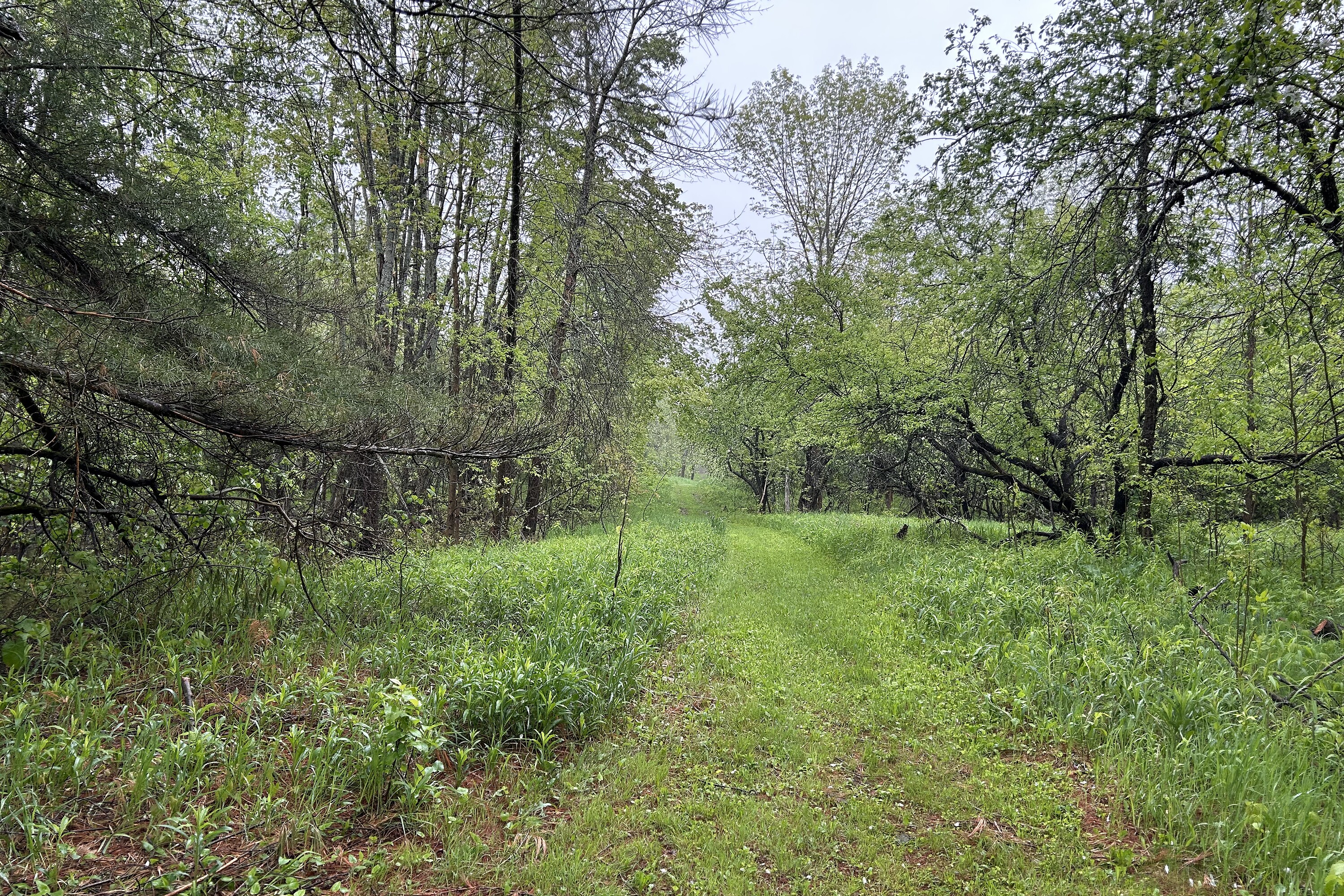  Havelock-Belmont-Methuen, - 物件實景