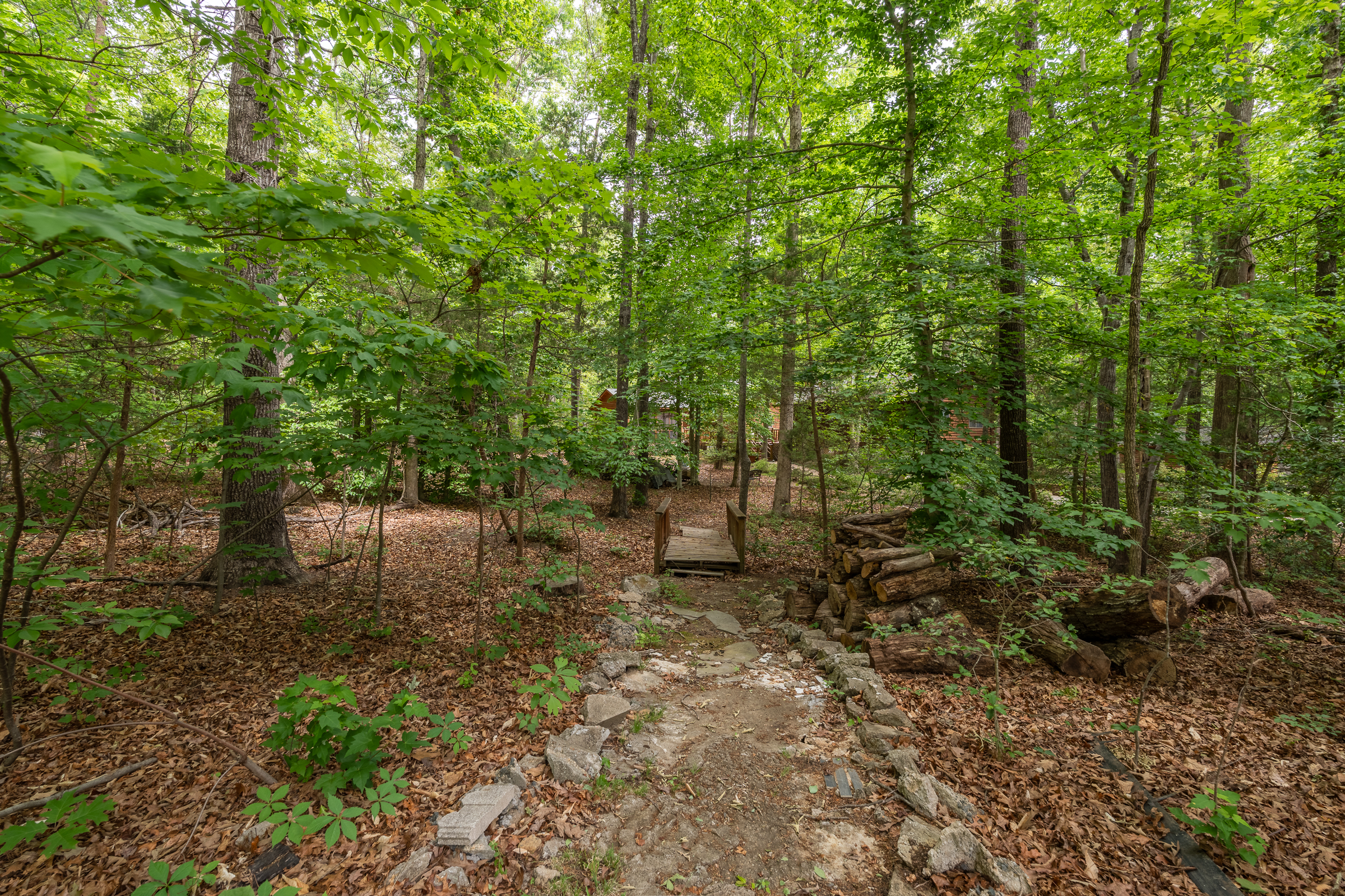  381 Shorewood Drive, Louisa, VA 23117 - 物件實景
