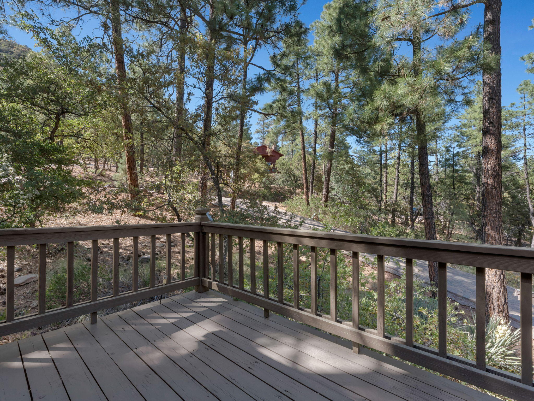 Pine, Arizona, 85544, United States, 3 Bedrooms Bedrooms, ,2 BathroomsBathrooms,Residential,For Sale,1828056