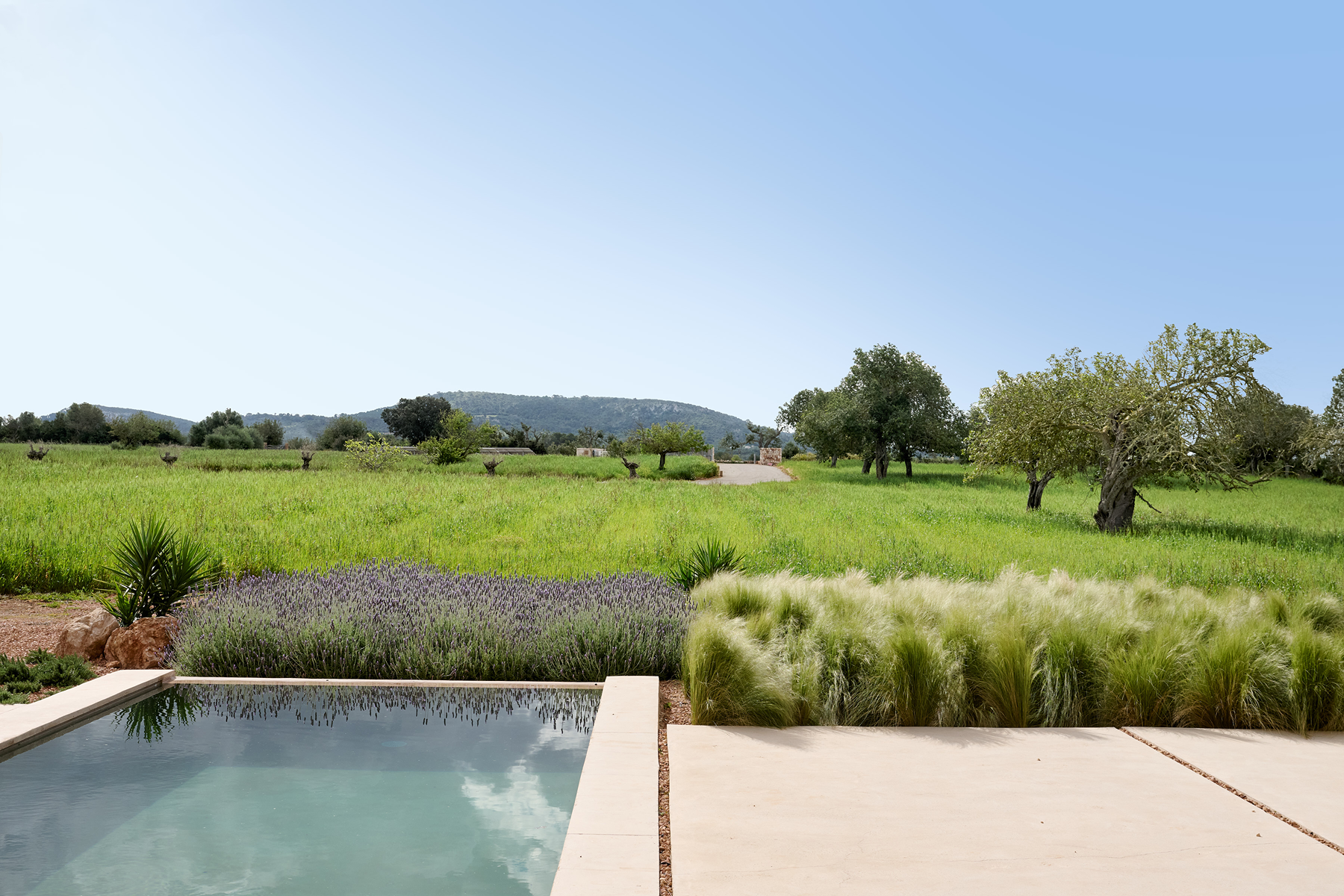  Designer estate with pool in Cas Concos - 物件實景