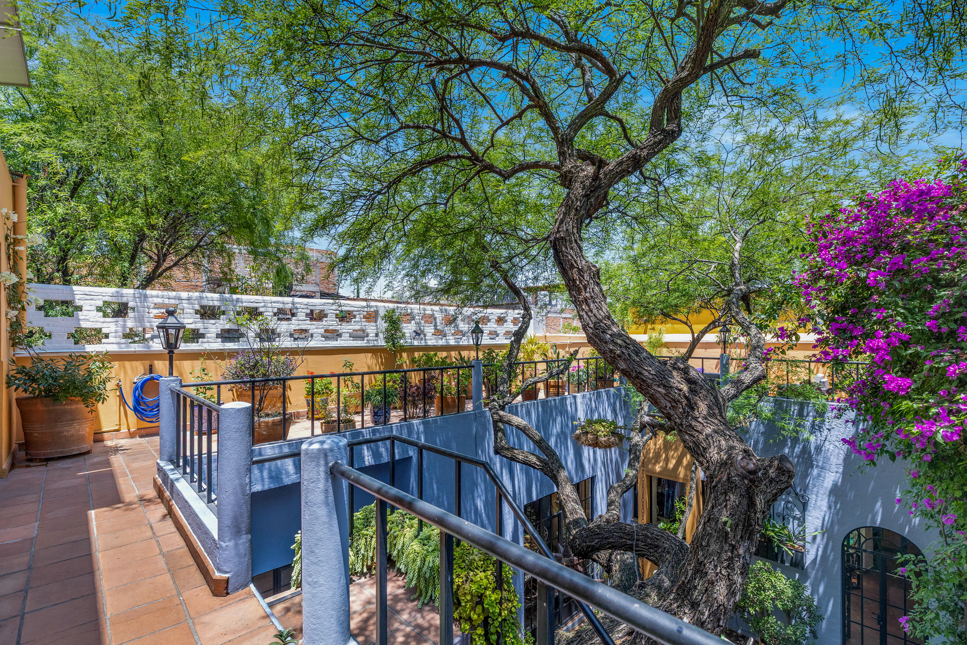  Casa Preciosa - 物件實景
