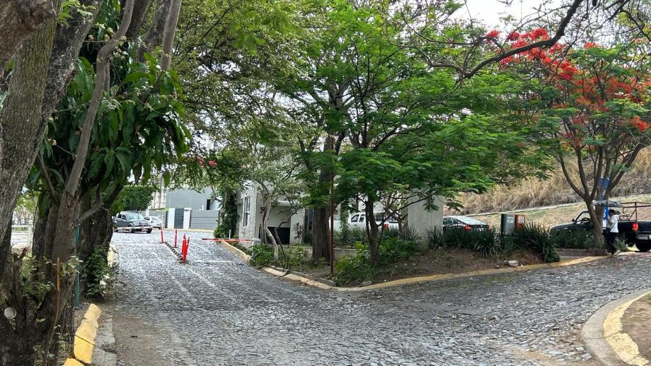 Av. Bosques de San Isidro Sur, Zapopan, Jalisco, 45133, Mexico, 1 Bedroom Bedrooms, ,Residential,For Sale,Av. Bosques de San Isidro Sur,1588840