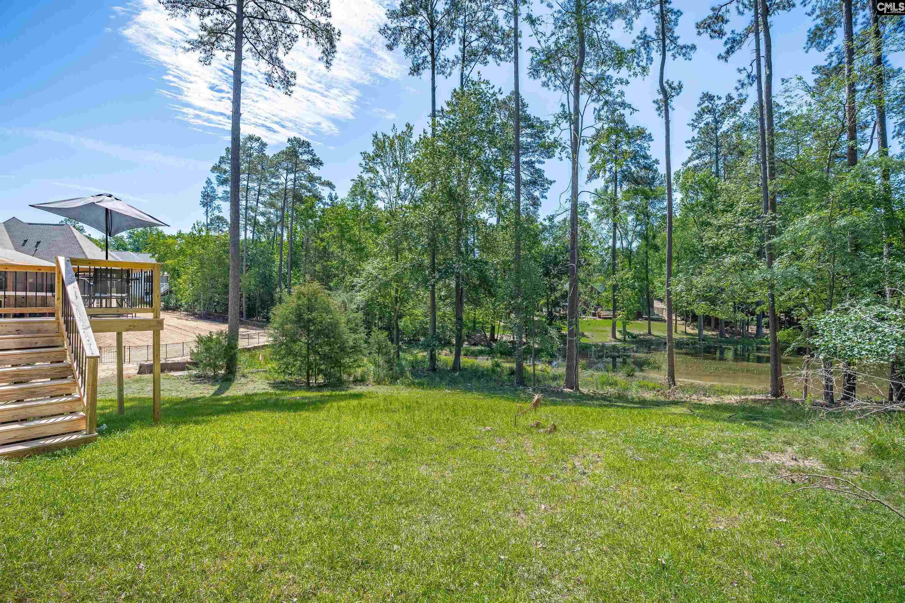 Chapin, South Carolina, 29036, United States, 3 Bedrooms Bedrooms, ,3 BathroomsBathrooms,Residential,For Sale,1804271