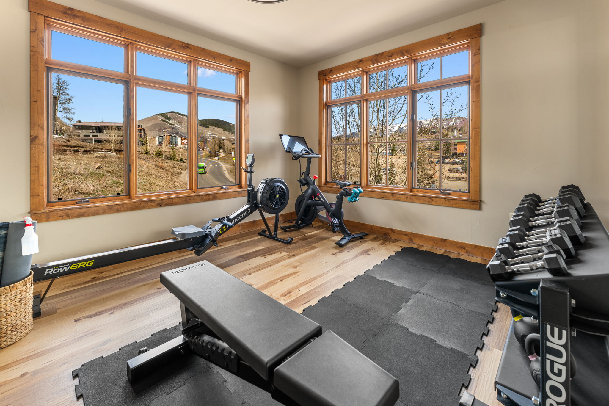  621 Gothic Road, Unit 2A, Mt. Crested Butte, CO 81225 - 物件實景