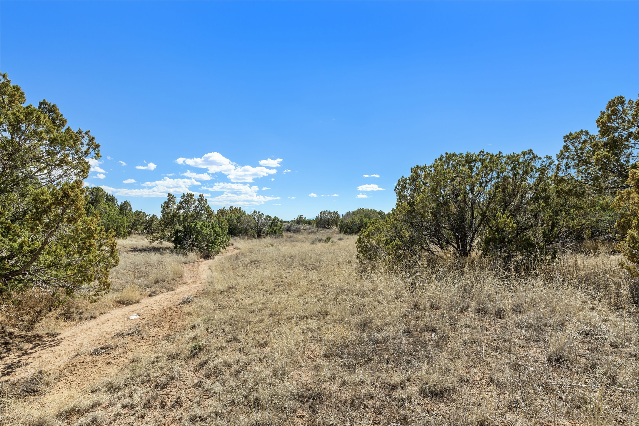  31 Calle Ventoso East, Lot 782 - 物件實景