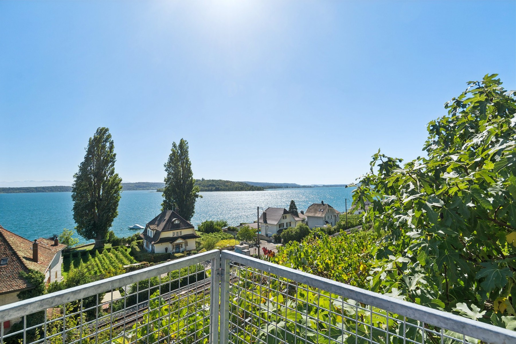  PURE VINES & THE HISTORY OF WINE-MAKING ON THE SHORES OF LAKE BIEL - 物件實景