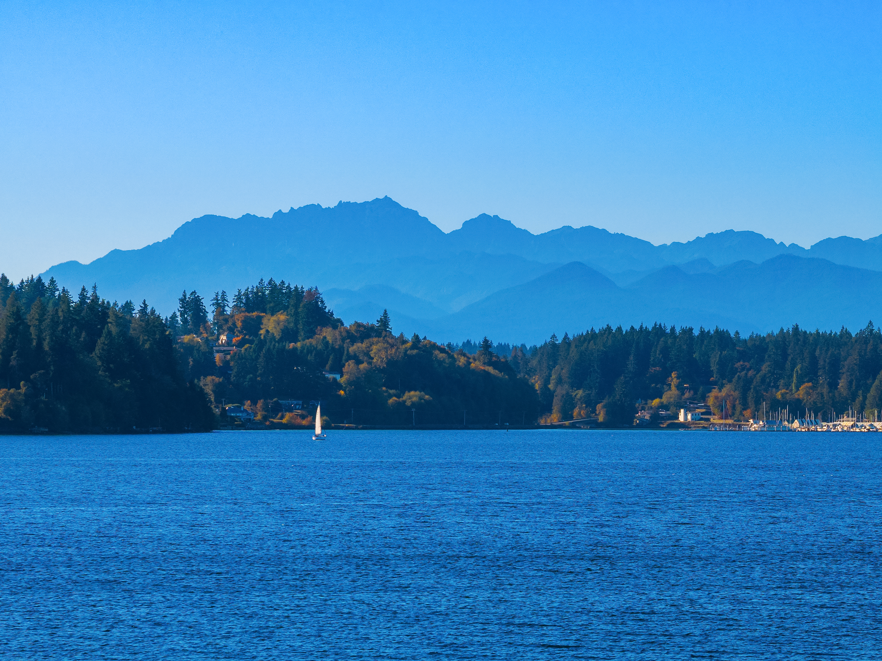  8405 Hansen Road Northeast, Bainbridge Island, WA 98110 - 物件實景