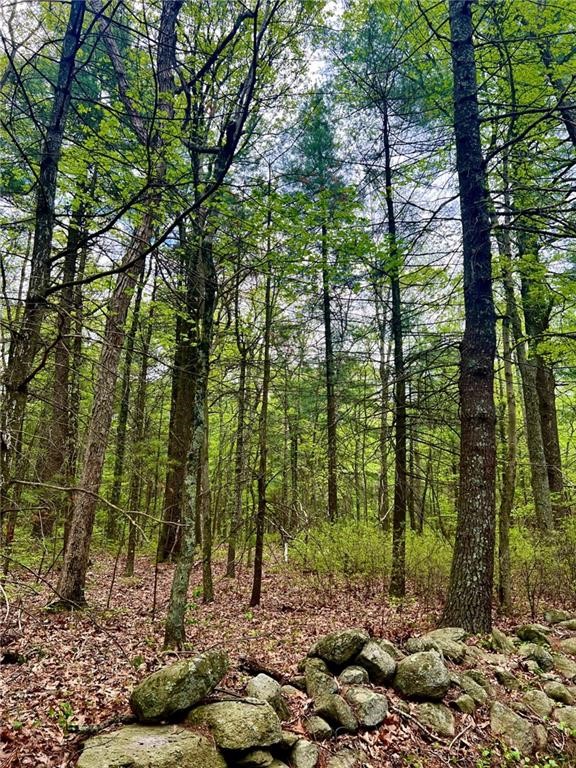 Smithfield, Rhode Island, 02859, United States, ,Land,For Sale,1987774