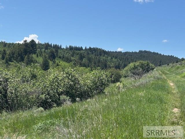 RIRIE, Idaho, 83443, United States, ,Residential,For Sale,1974893