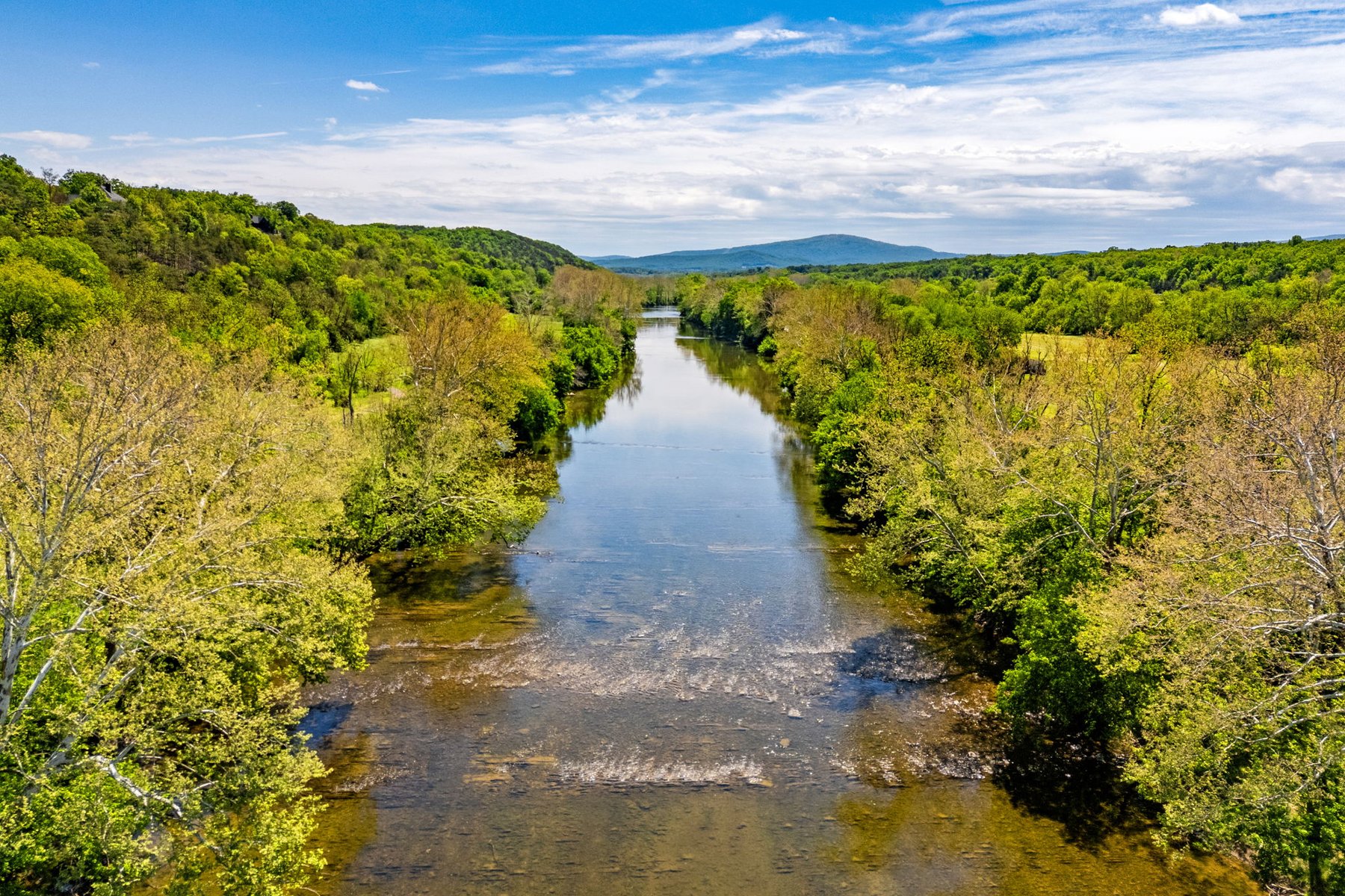  269 River Manor Drive, Front Royal, VA, 22630 - 物件實景