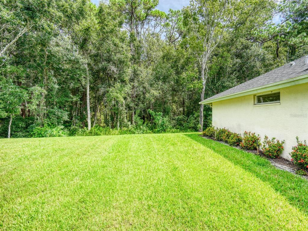 Palm Harbor, Florida, 34685, United States, 4 Bedrooms Bedrooms, ,3 BathroomsBathrooms,Residential,For Sale,1990294