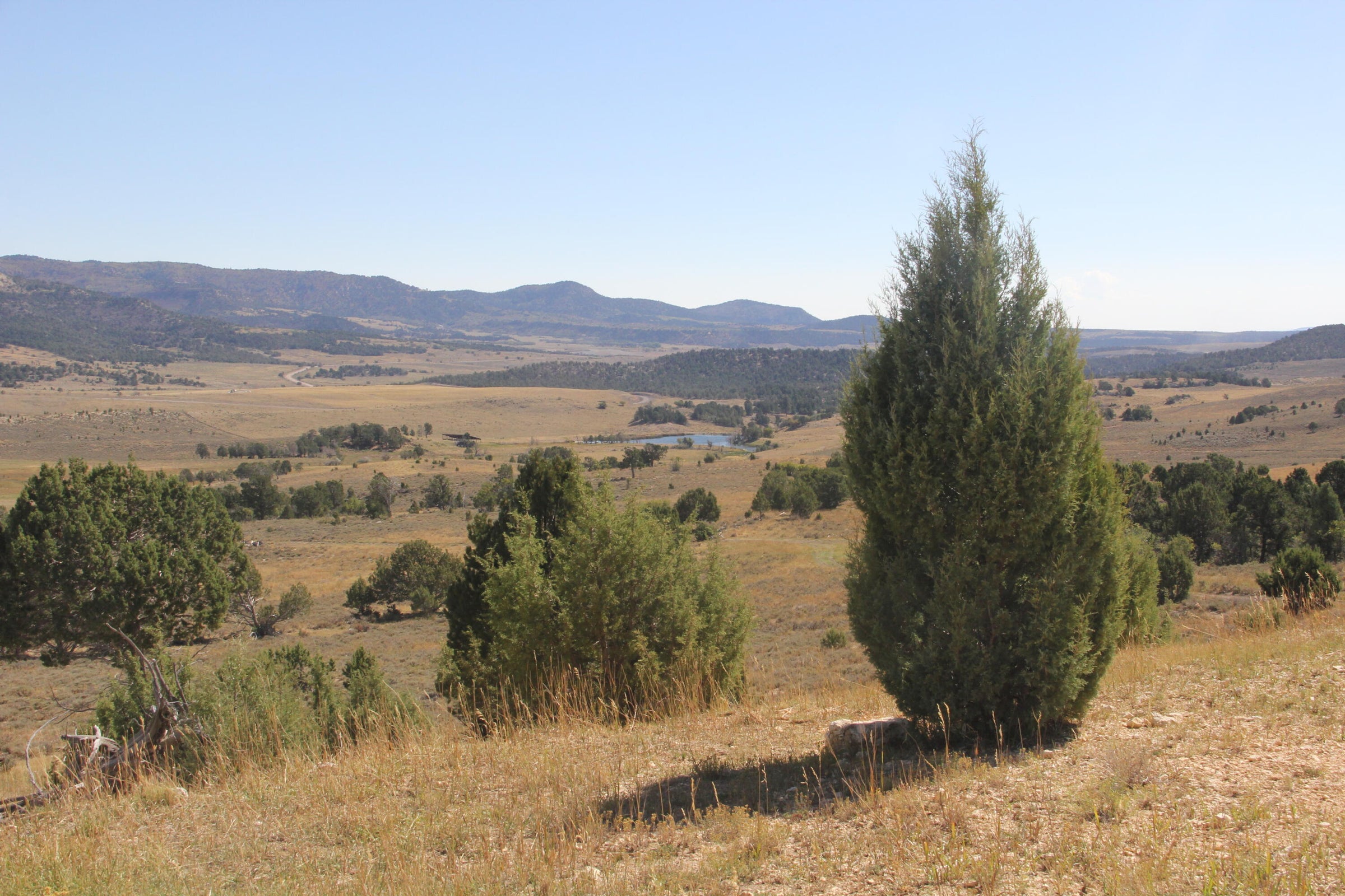 Alton, Utah, 84710, United States, ,Land,For Sale,1743829