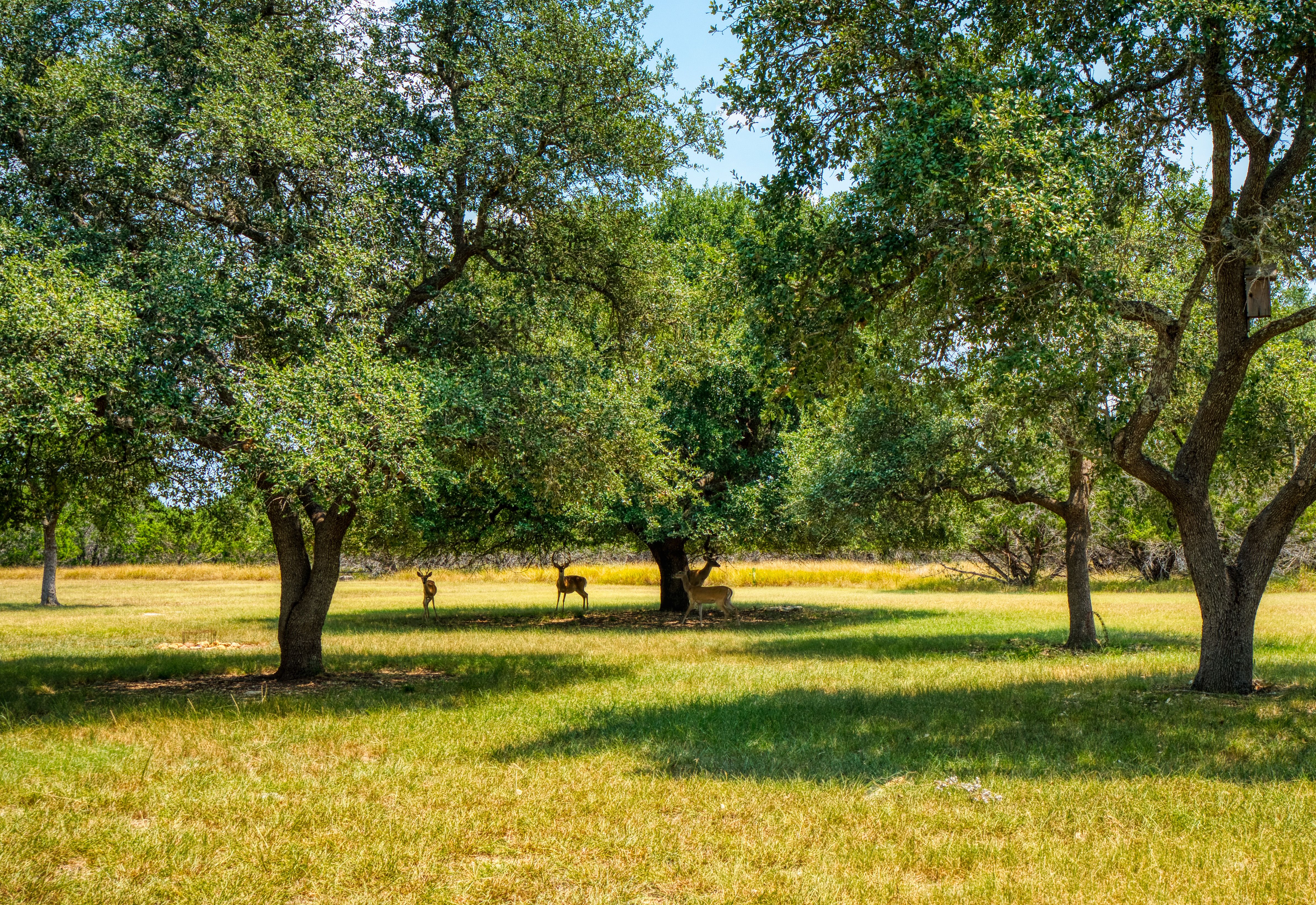  Scenic Homesite With Sweeping Sunset Views - 物件實景