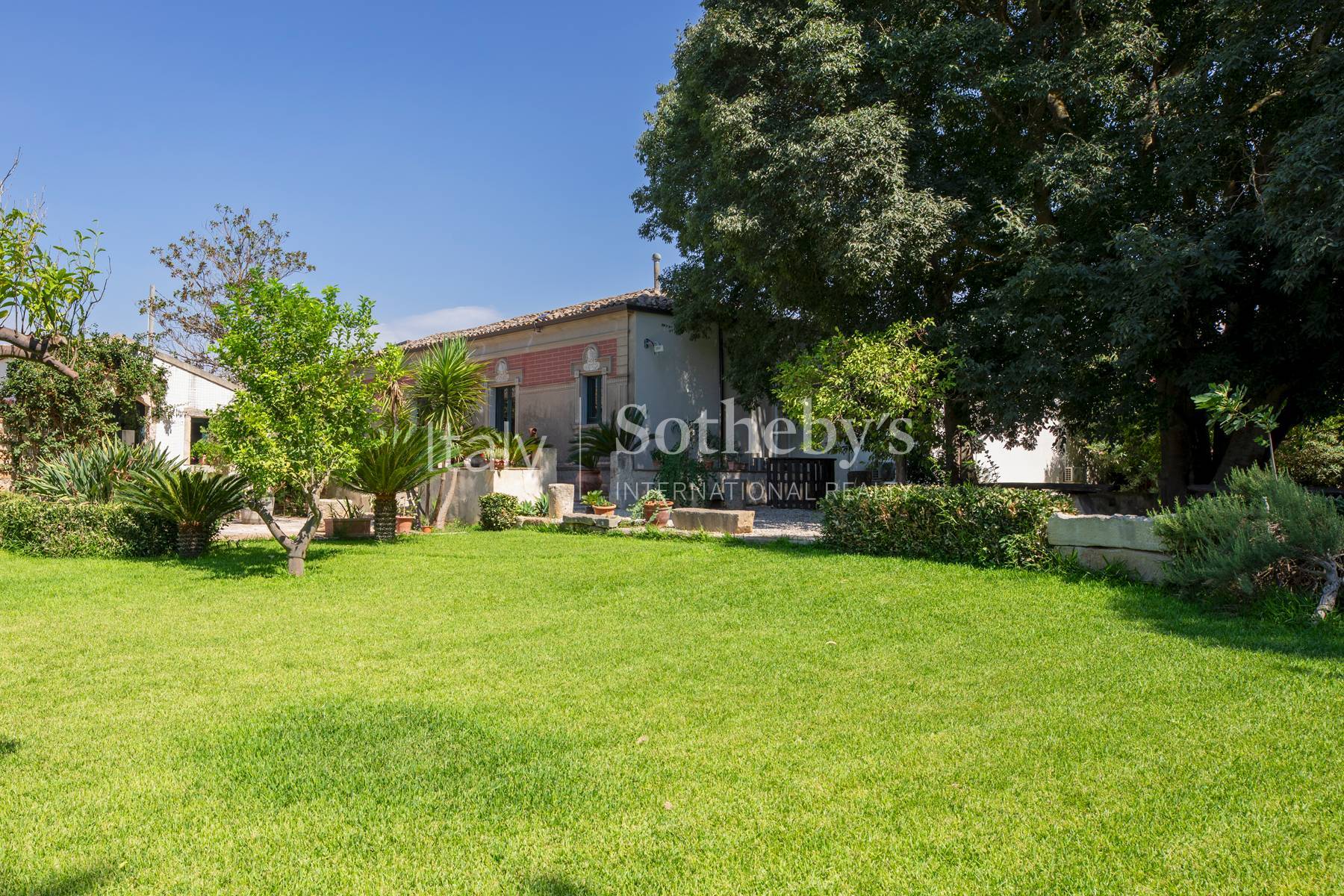  Historic Sicilian wine estate with vineyards and olive grove - 物件實景