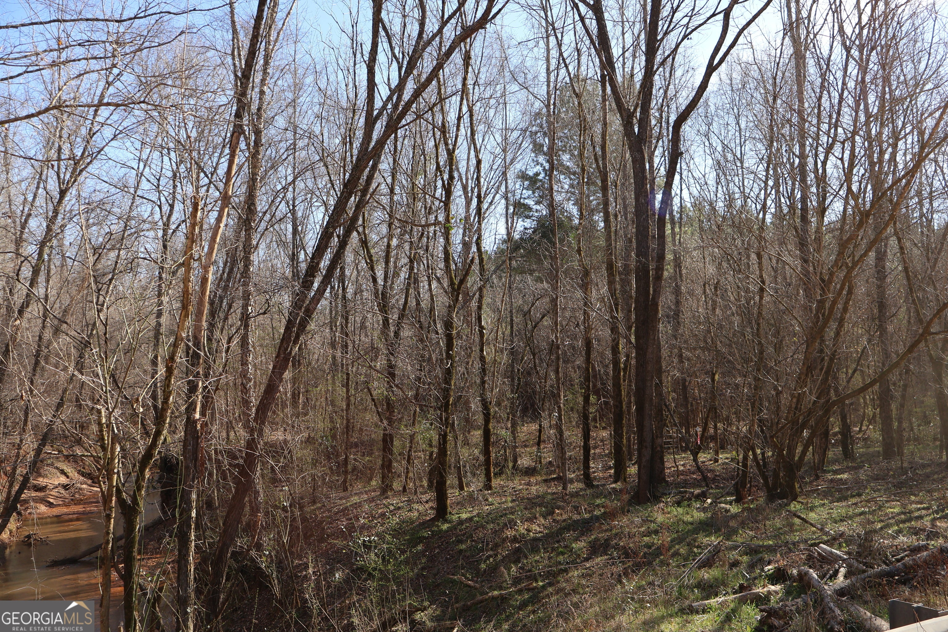 Forsyth, Georgia, 31029, United States, ,Land,For Sale,1858913