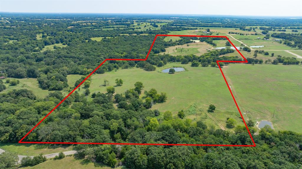 Yantis, Texas, 75497, United States, ,Land,For Sale,1917714