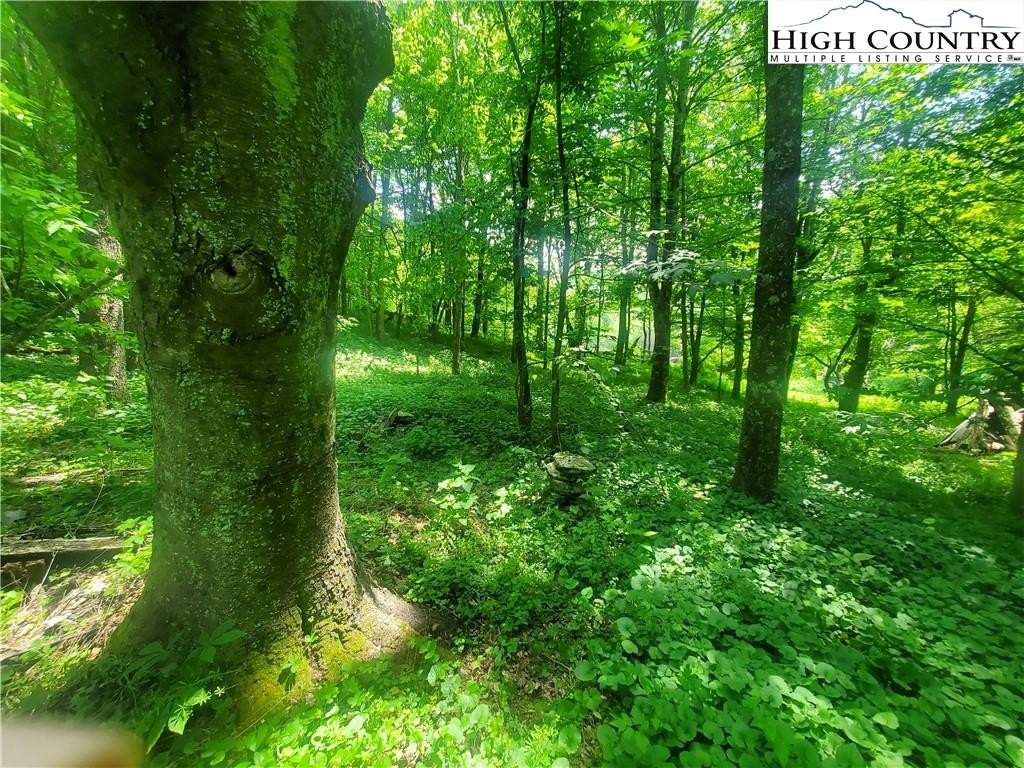 Warrensville, North Carolina, 28693, United States, ,Land,For Sale,1984173