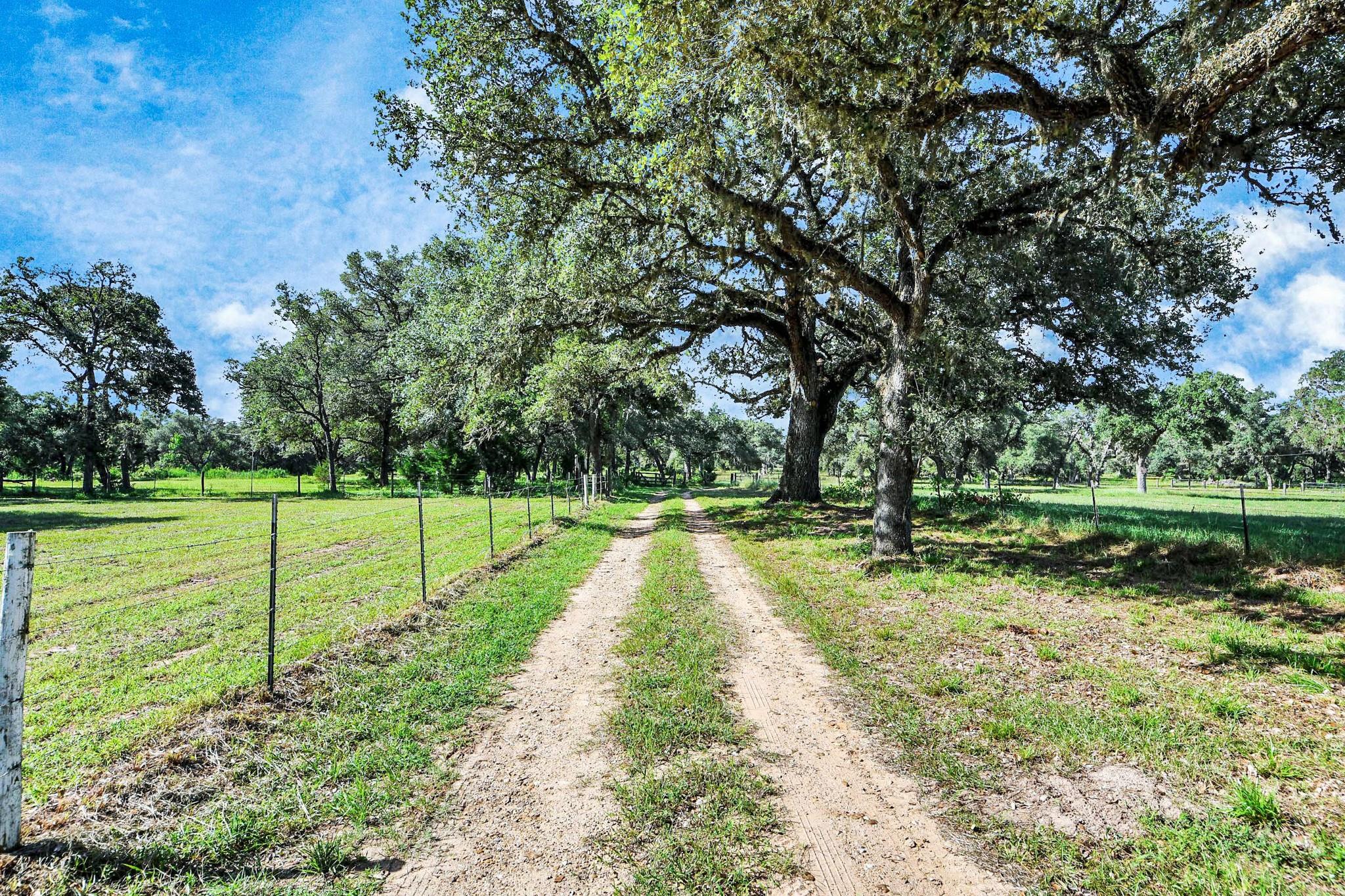 Sheridan, Texas, 78962, United States, 2 Bedrooms Bedrooms, ,2 BathroomsBathrooms,Residential,For Sale,1981605