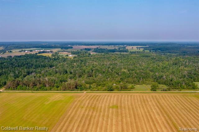 000 Willis Road, Burnside Twp, Michigan, 48416, United States, ,Land,For Sale,000 Willis Road,1288275