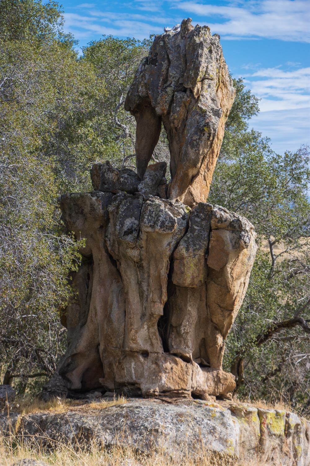 Coarsegold, California, 93614, United States, ,Residential,For Sale,2006211