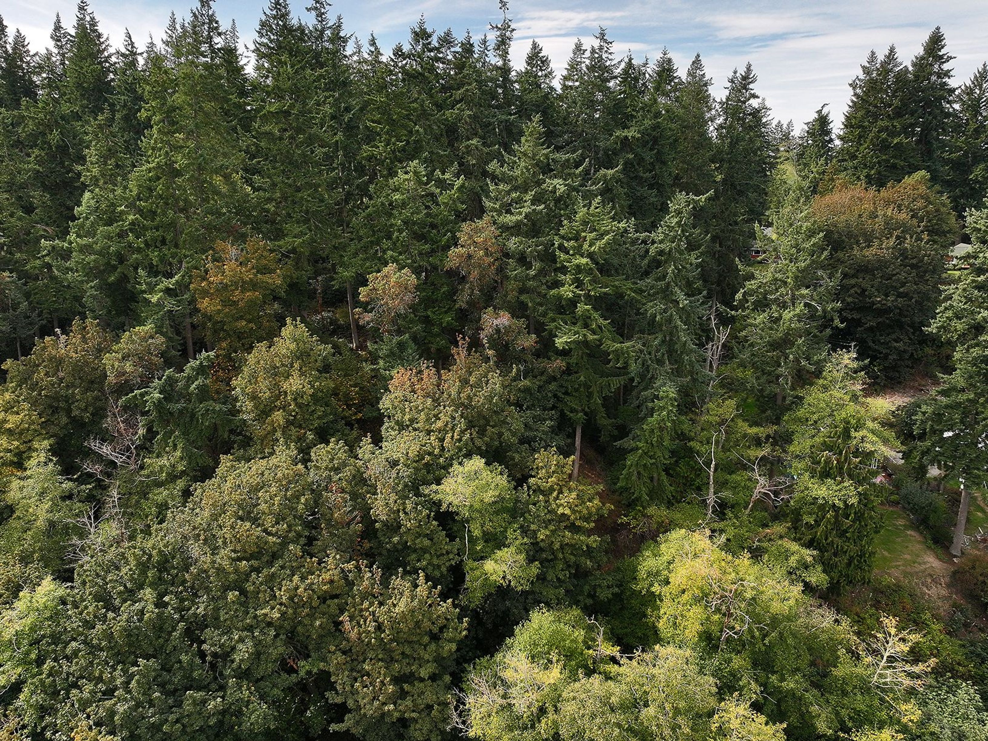  XXX Waterside Lane, Langley, WA 98260 - 物件實景