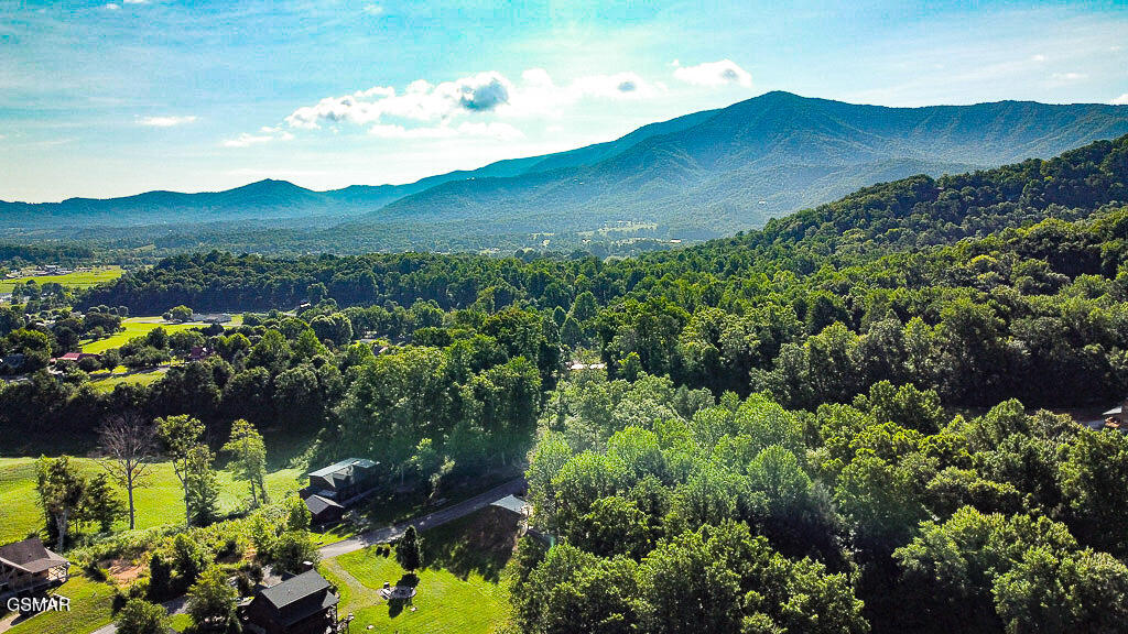 Sevierville, Tennessee, 37862, United States, 3 Bedrooms Bedrooms, ,4 BathroomsBathrooms,Residential,For Sale,2027934