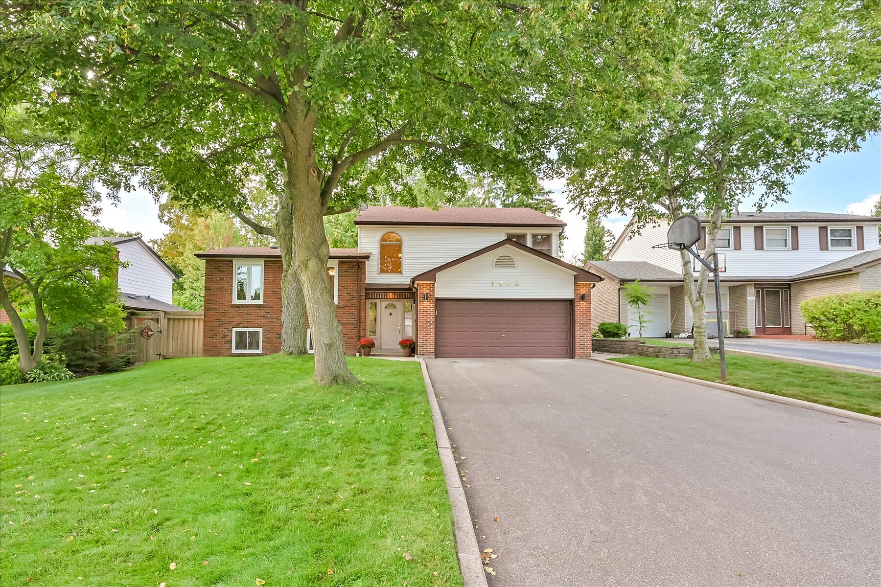  Spacious Falgarwood Sidesplit - 物件實景