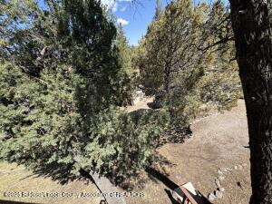 Ruidoso, New Mexico, 88345, United States, 3 Bedrooms Bedrooms, ,3 BathroomsBathrooms,Residential,For Sale,1770584