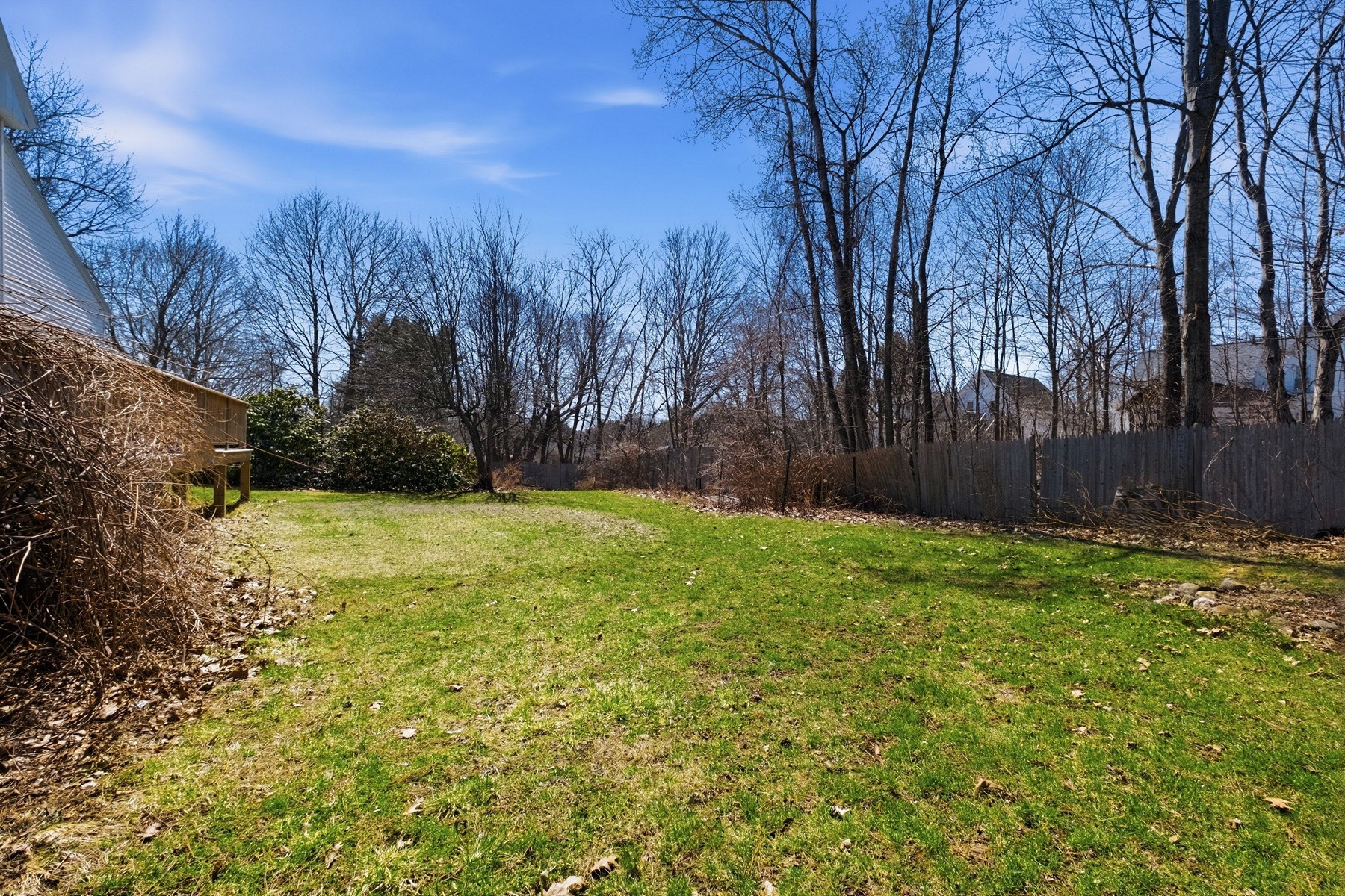  388 Elm Street - 物件實景