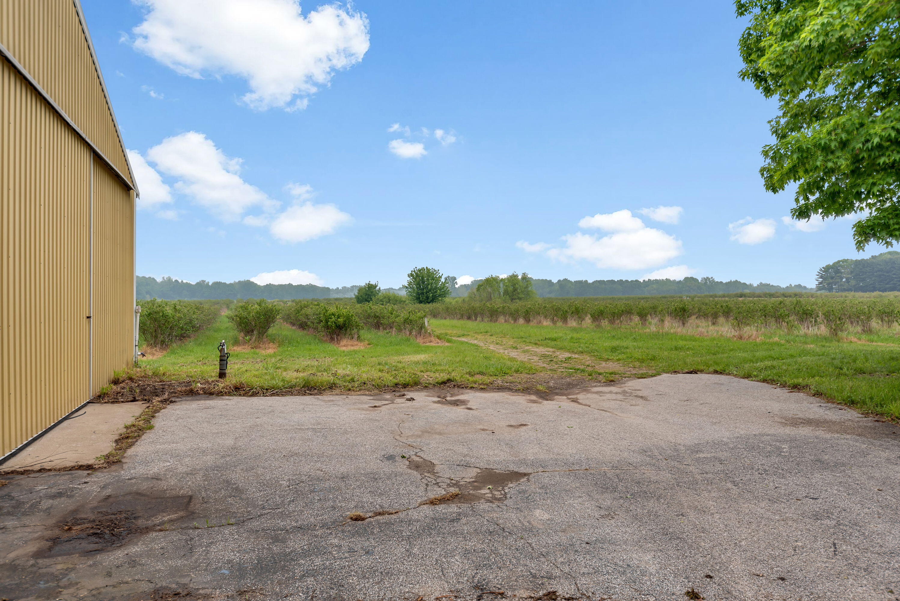 Benton Harbor, Michigan, 49022, United States, ,Land,For Sale,1848947