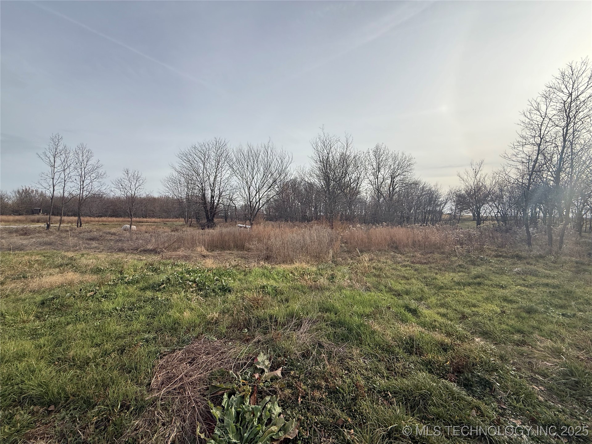 Chelsea, Oklahoma, 74016, United States, 4 Bedrooms Bedrooms, ,2 BathroomsBathrooms,Residential,For Sale,1994539