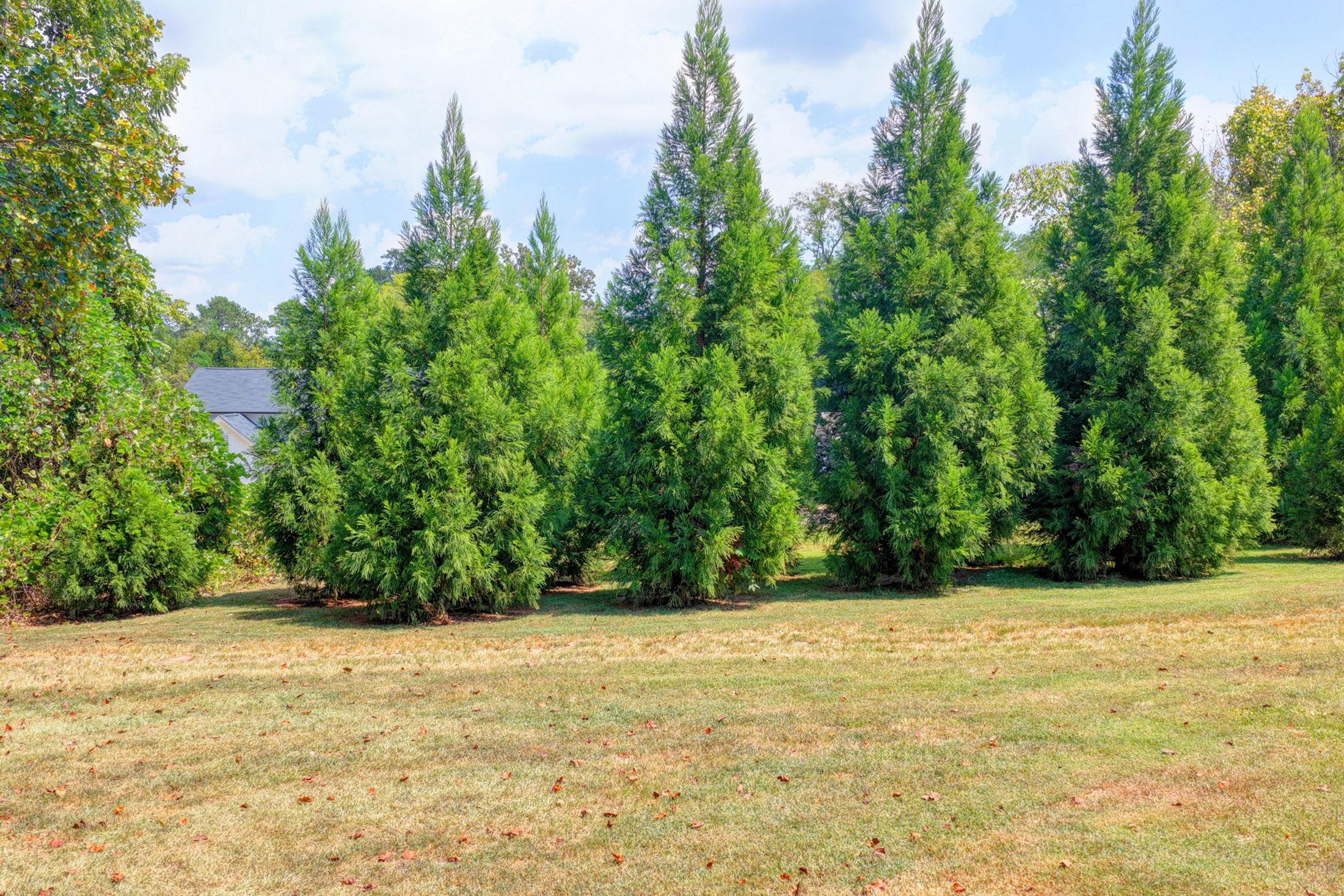  Active Adult Nearly-new Ranch Home in the Heart of Hickory Flat Area of Canton - 物件實景