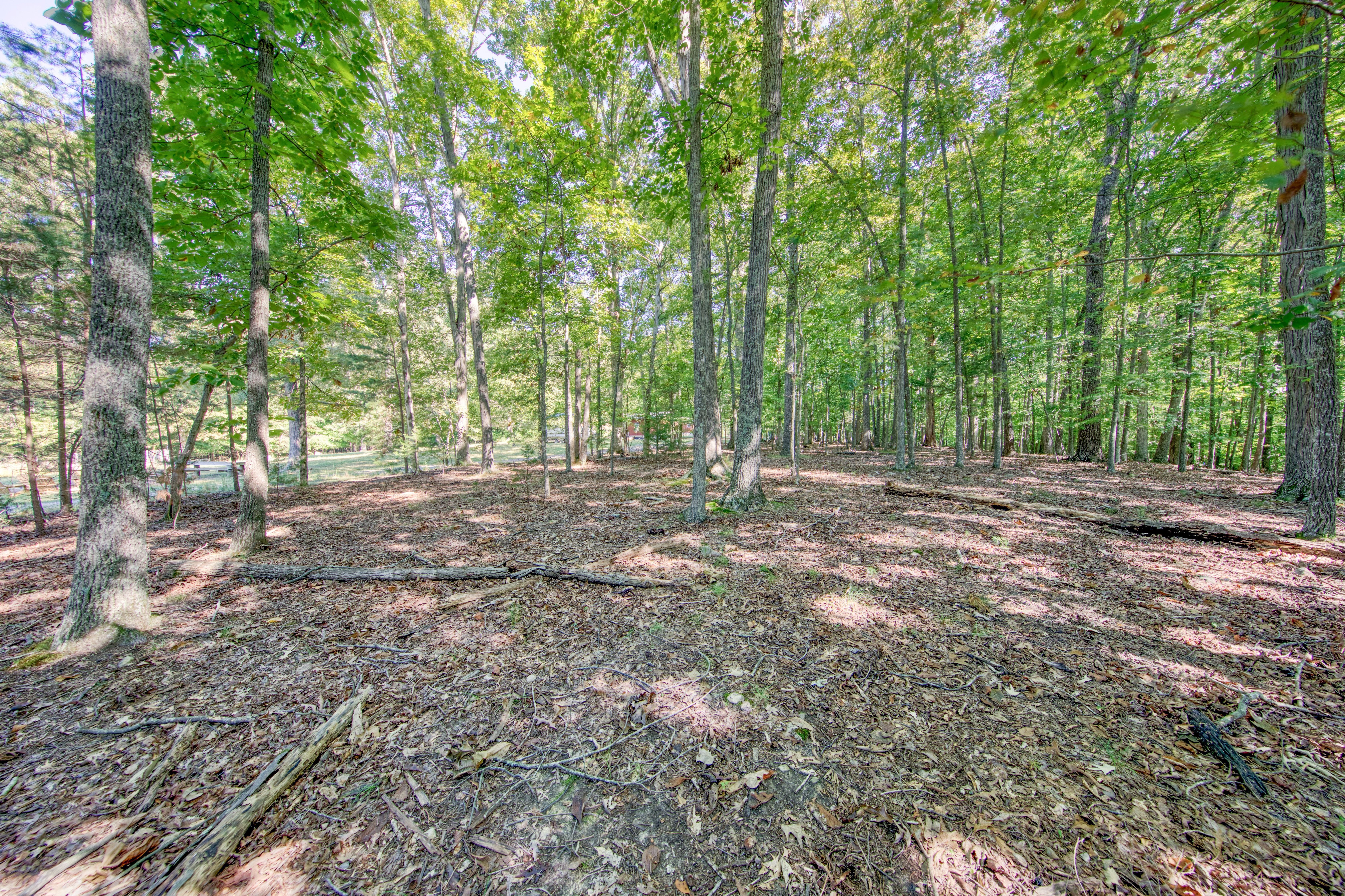  1549 Wise Way, Dandridge, TN 37725 - 物件實景