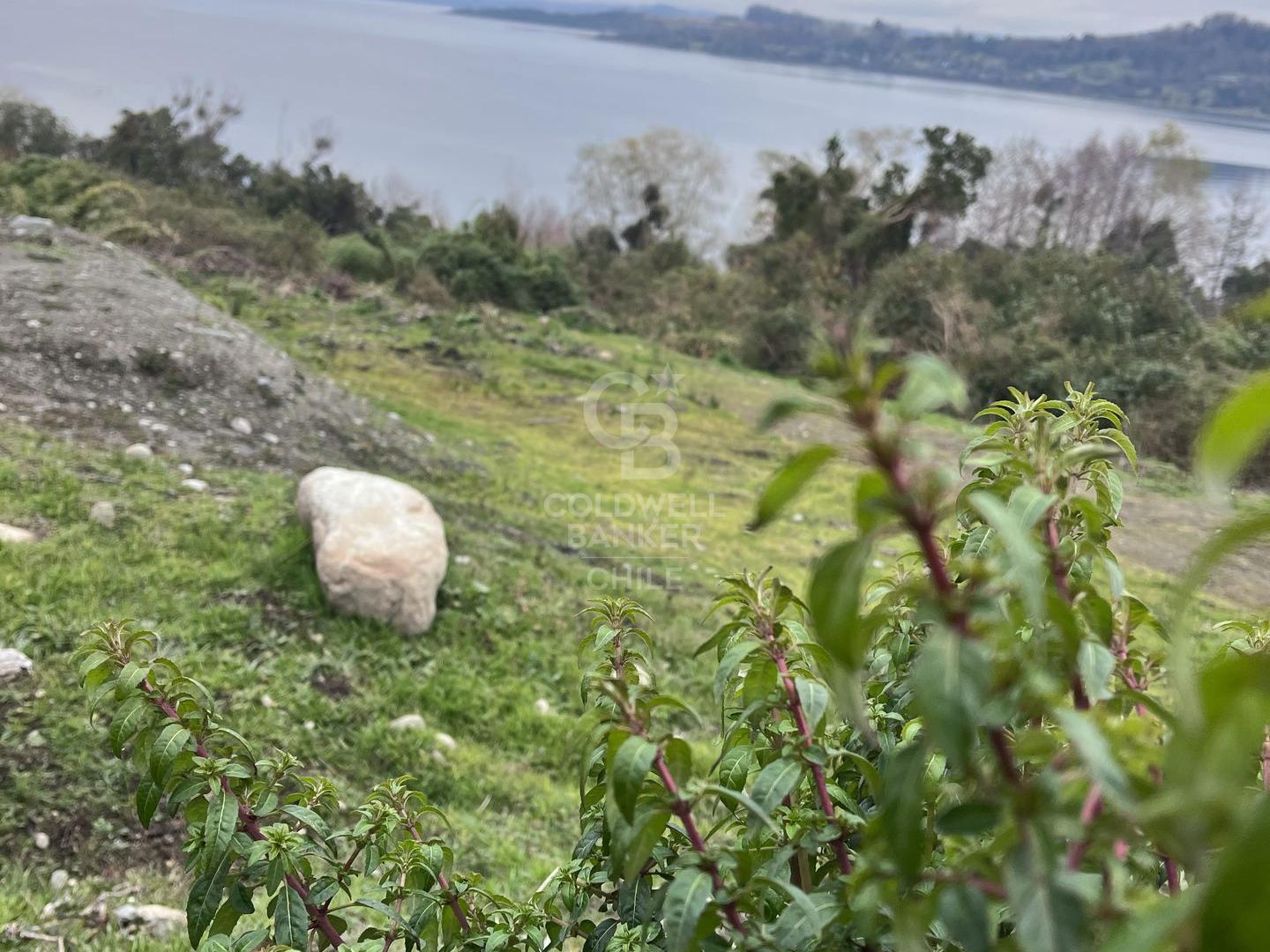 Futrono, Chile, ,Residential,For Sale,1919712